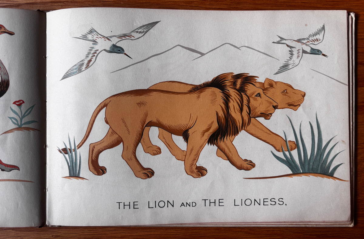 Clifford Webb THE STORY OF NOAH 1931 1st Ed F J Ward ILLUSTRATED