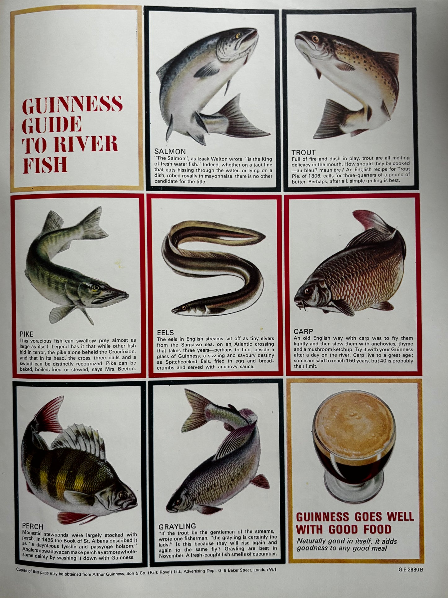 Thelwell PUNCH MAGAZINE January 6 1965 HUNTING RED COAT FOX