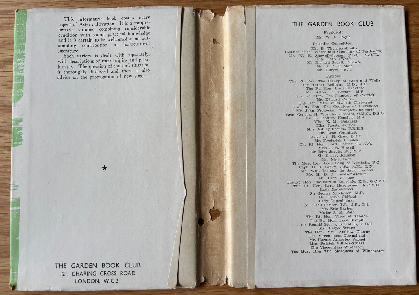 E R Ranson MICHAELMAS DAISIES & OTHER GARDEN ASTERS 1947 Book Club DJ