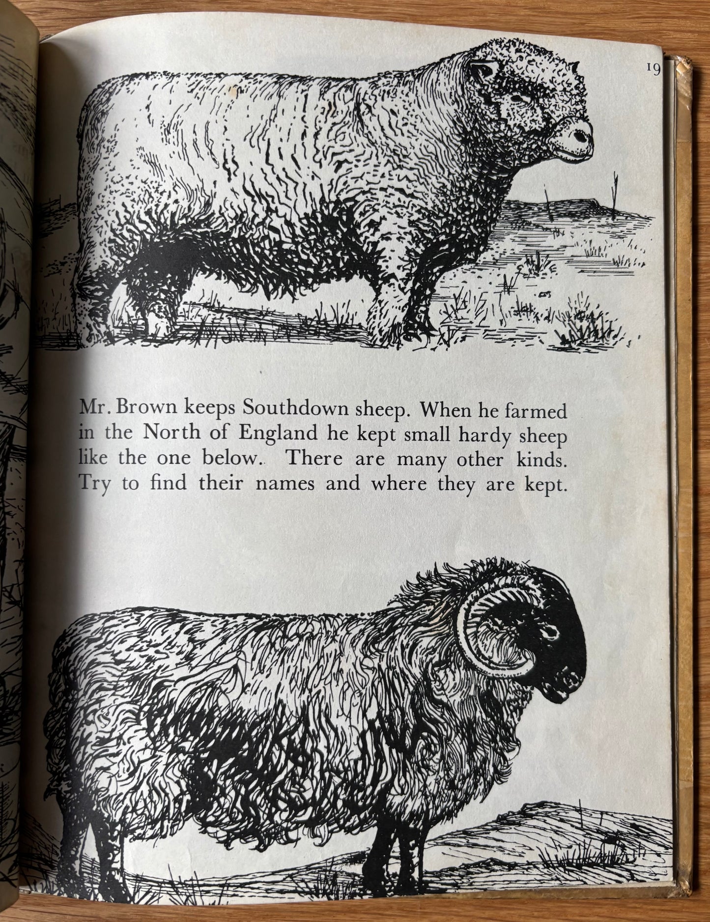 Barbara Lambourne HOME FARM AT WORK Chatto & Windus FARMING ART 1957 Schools Book