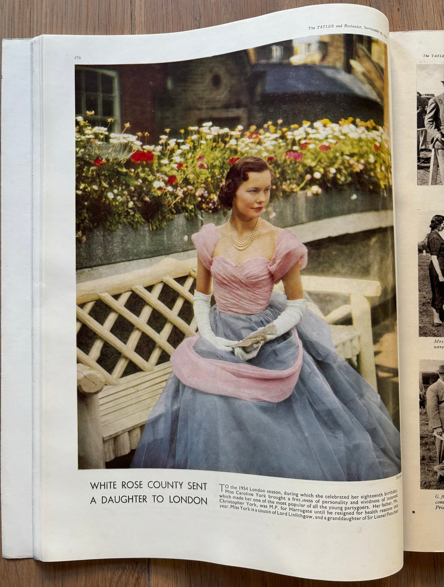 David Judd THE TATLER September 15, 1954 Autumn Fashion Number MAGAZINE - transpontinebooks