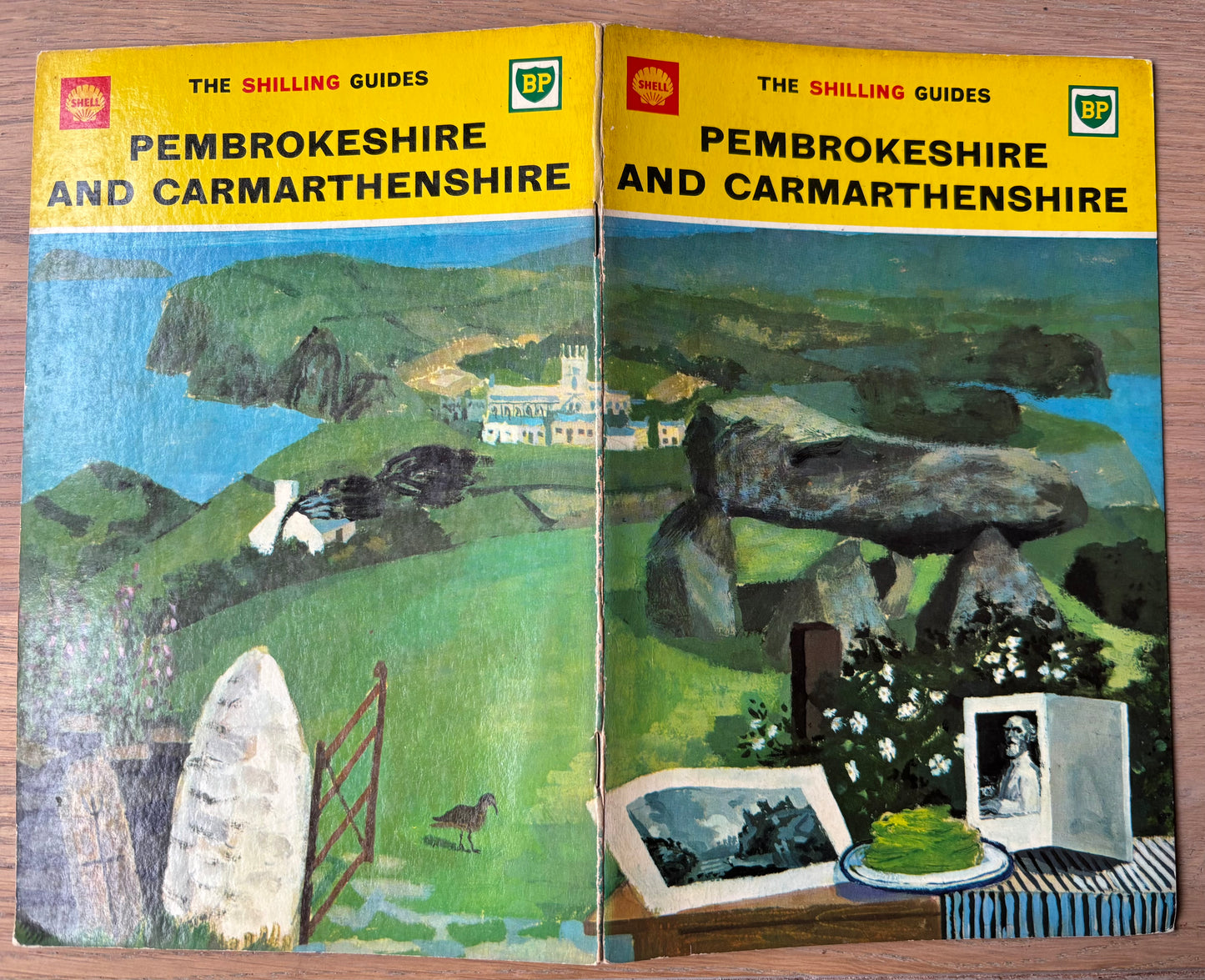 Kenneth Rowntree PEMBROKESHIRE SHELL SHILLING GUIDE 1964 Illustrated Carmarthan