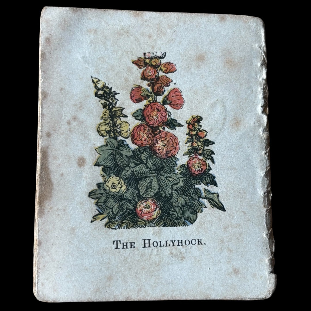 MINIATURE VICTORIAN Nursery Library Flowers BOOK George Routledge