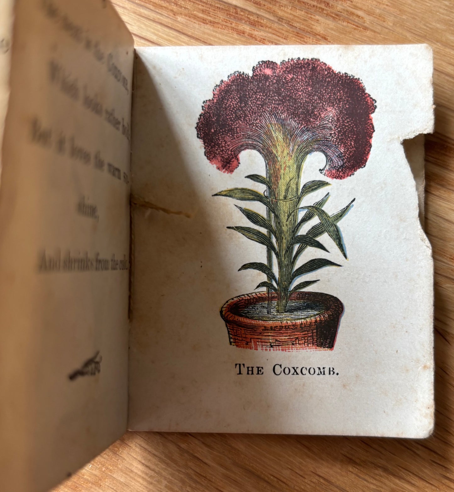 MINIATURE VICTORIAN Nursery Library Flowers BOOK George Routledge