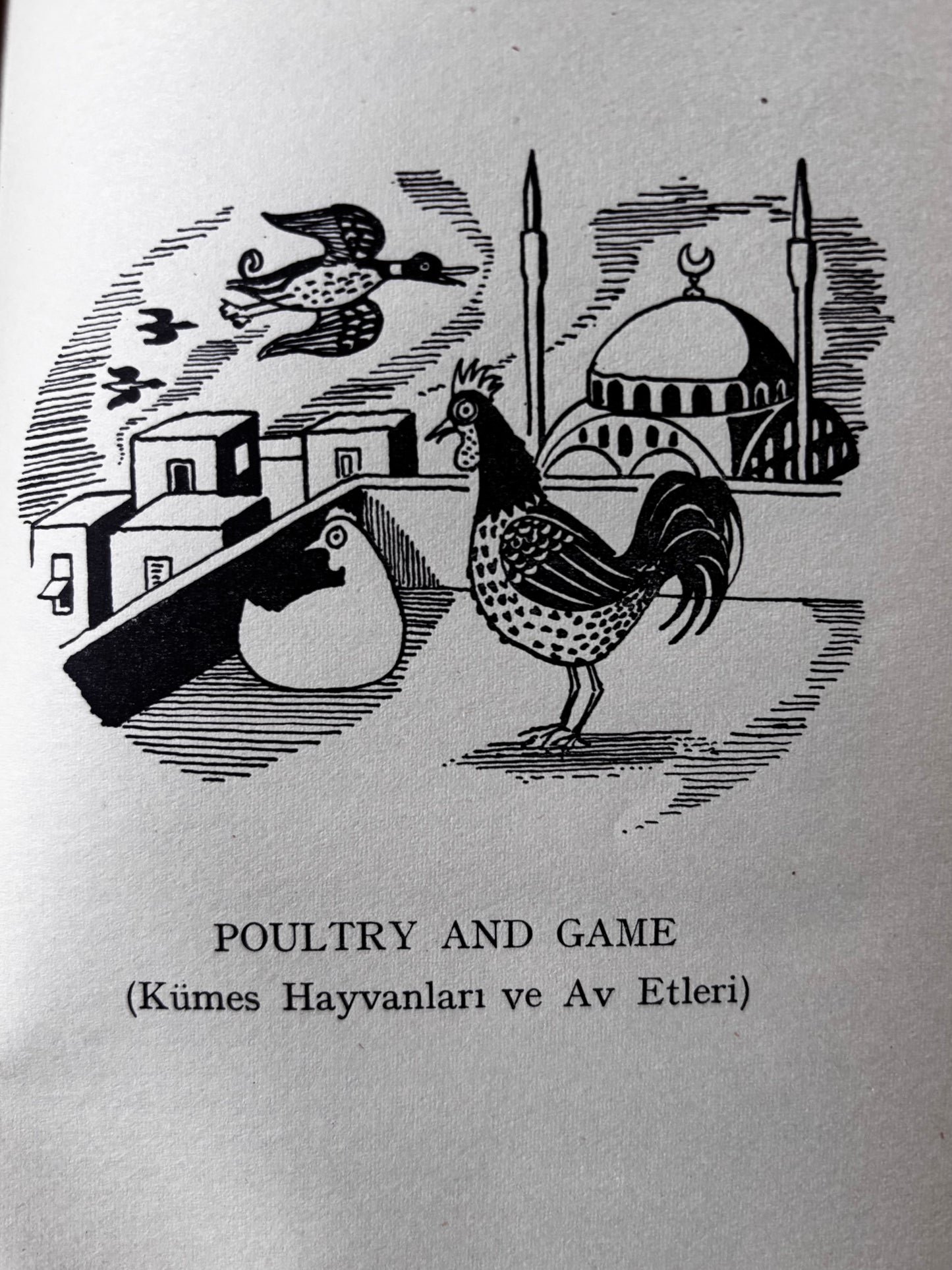 Osbert Lancaster SULTAN’S PLEASURE Robin Howe 1st Ed DJ 1952 Peter Garnett TURKISH COOKERY BOOK