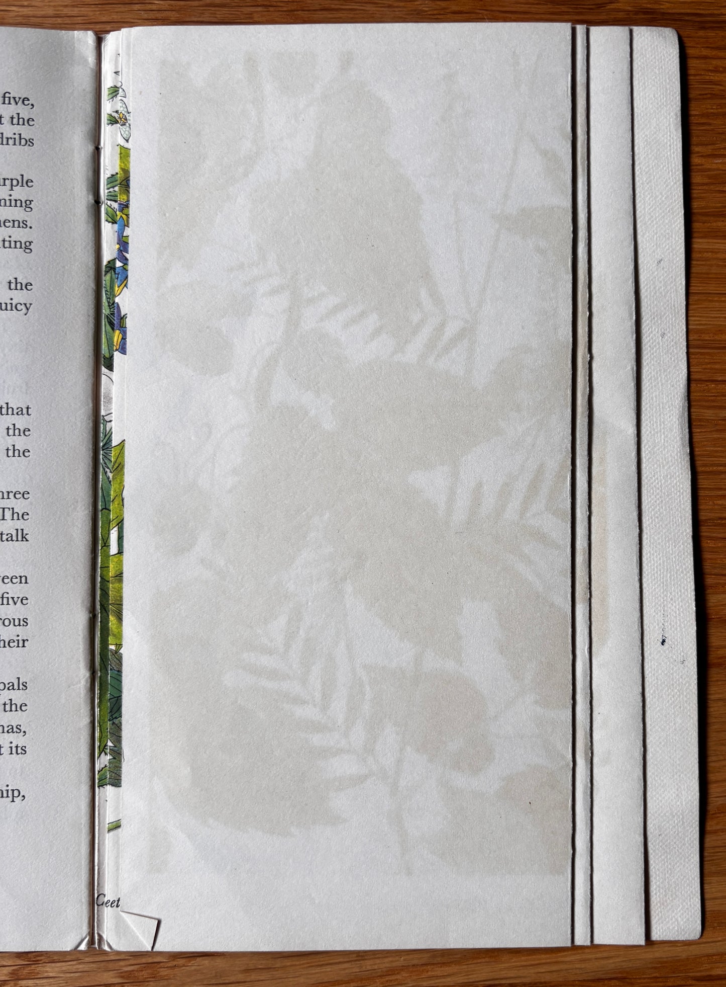 PANTOSCOPE BOOK Climbing Plants PAXTON CHADWICK 1st Ed 1961 Flowers Cassell