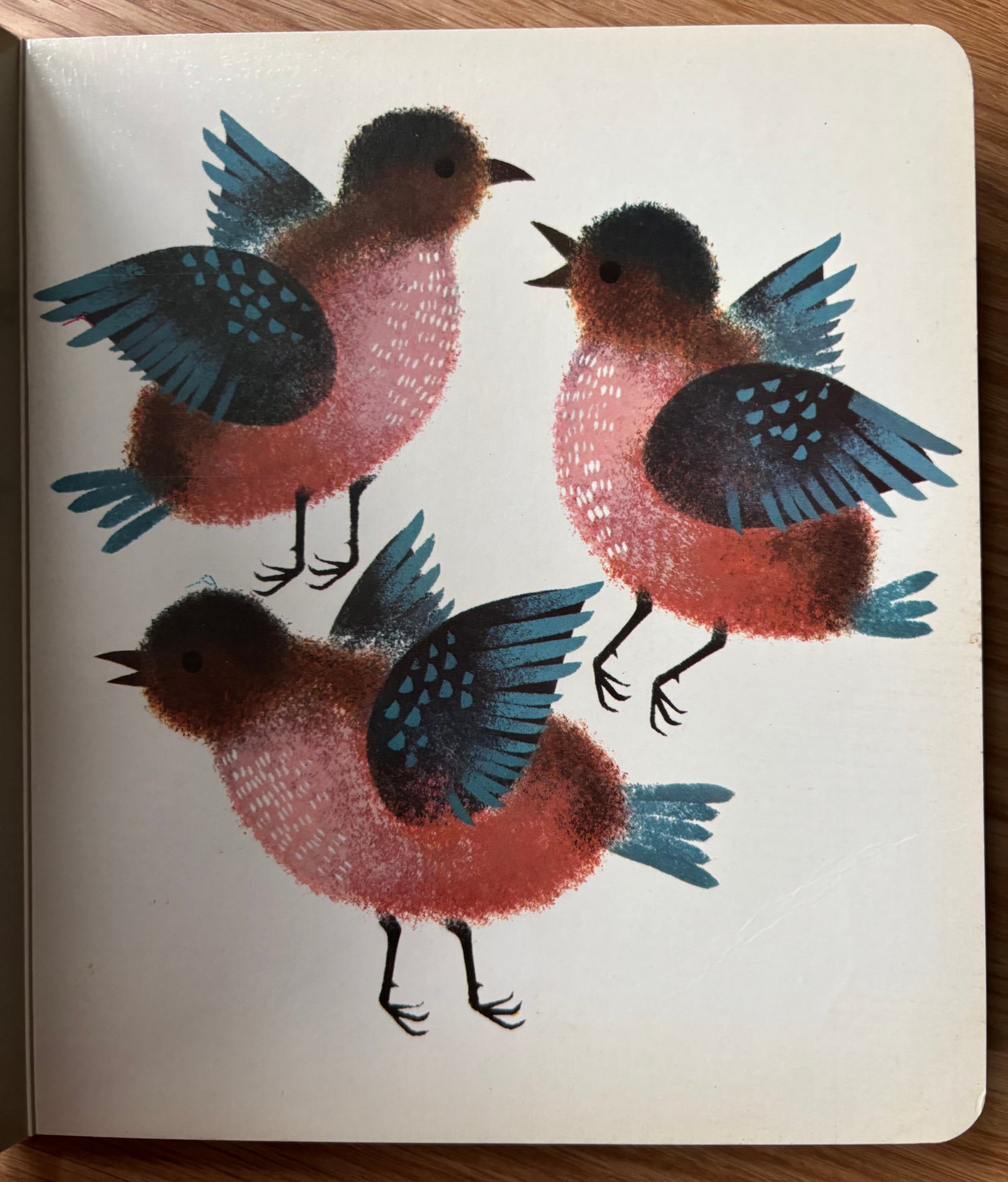 Hilde Heyduck-Huth THE THREE BIRDS Board Book 1969 1st Ed Thus Burke Publishing