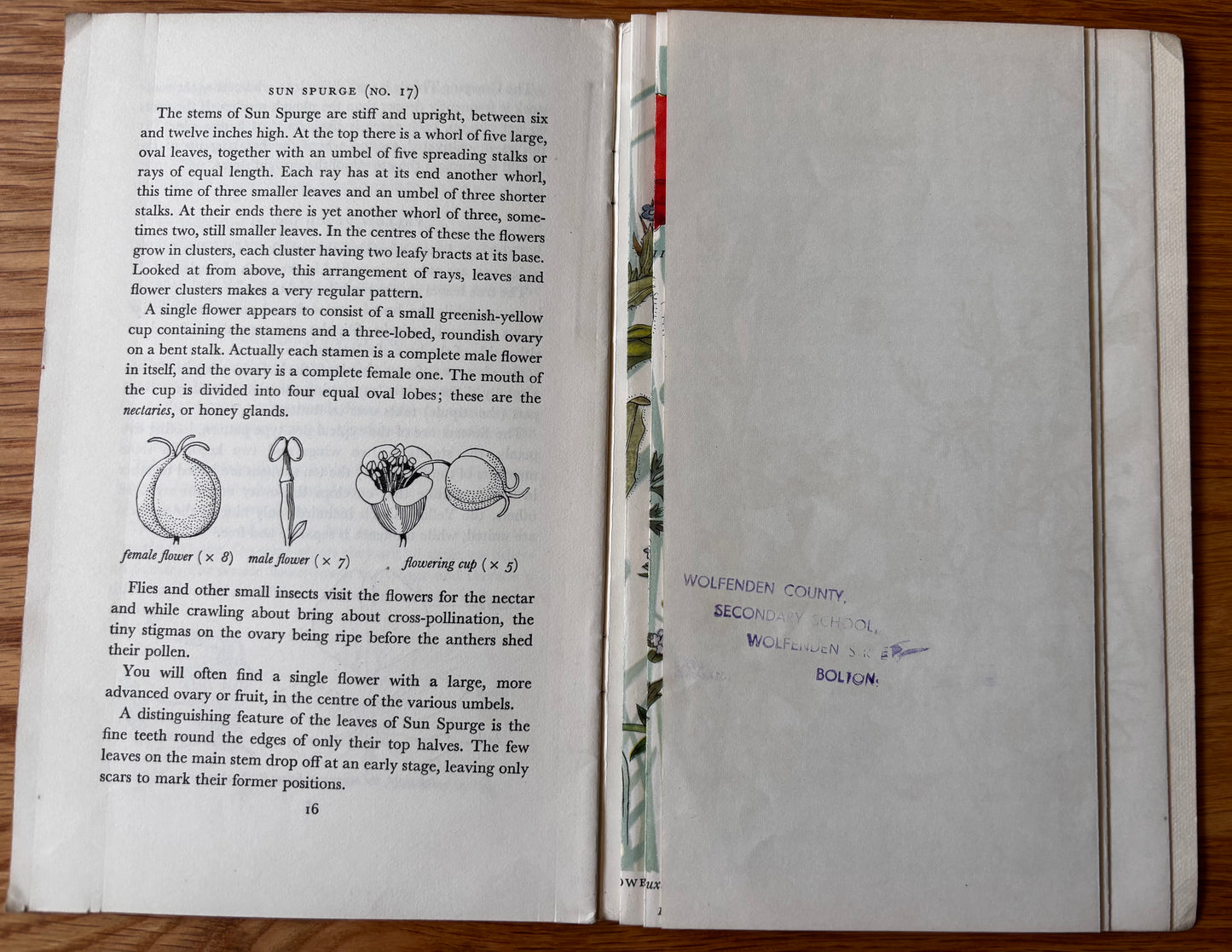 PANTOSCOPE BOOK Flowers Of The Cornfields PAXTON CHADWICK 1st Ed 1960 Cassell