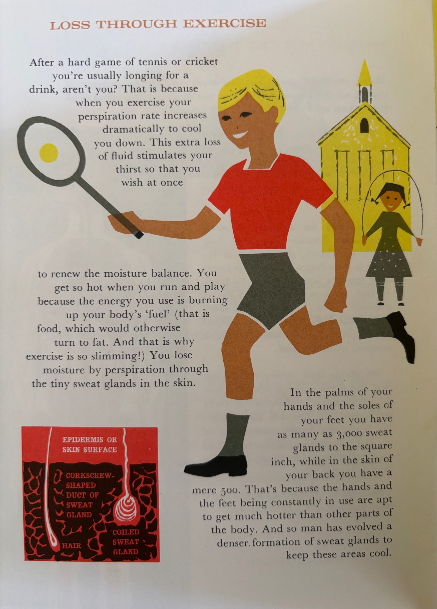 FOCUS ON THIRST Coca-Cola SCIENCE EDUCATION BOOKLET 1970’s