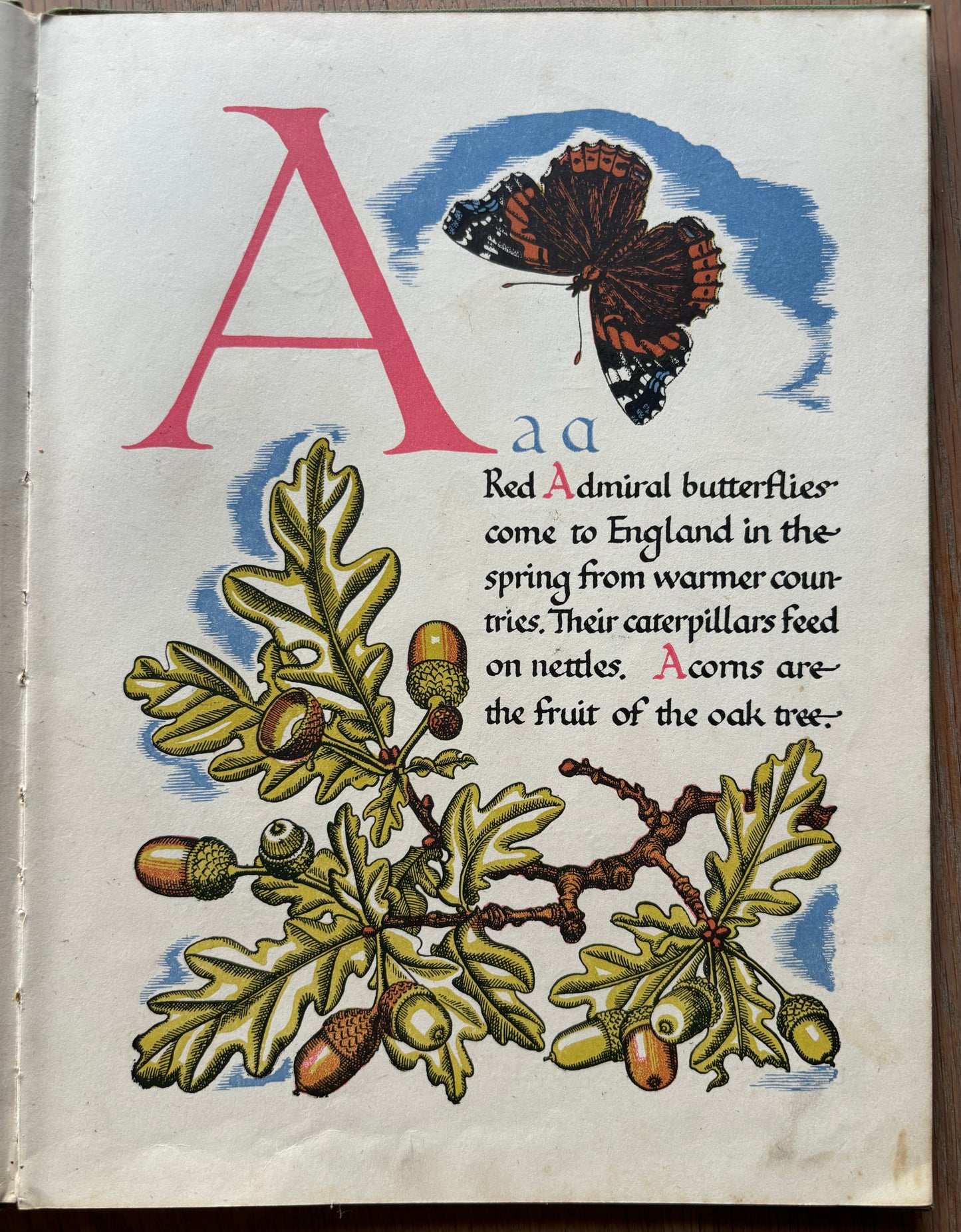 Eileen Mayo NATURE’S ABC 1940’s Illustrated Universal Text Books - transpontinebooks