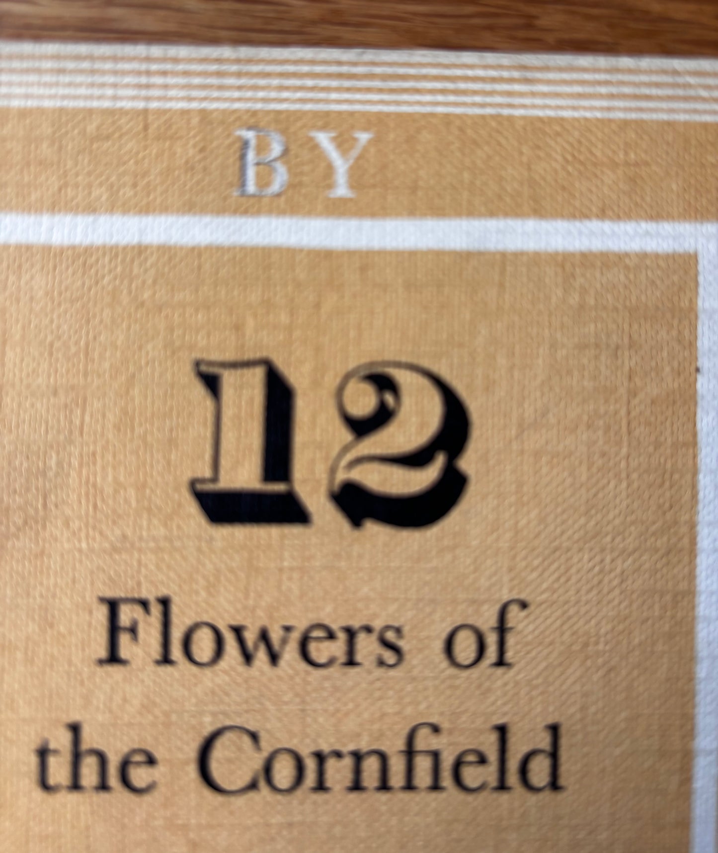 PANTOSCOPE BOOK Flowers Of The Cornfields PAXTON CHADWICK 1st Ed 1960 Cassell