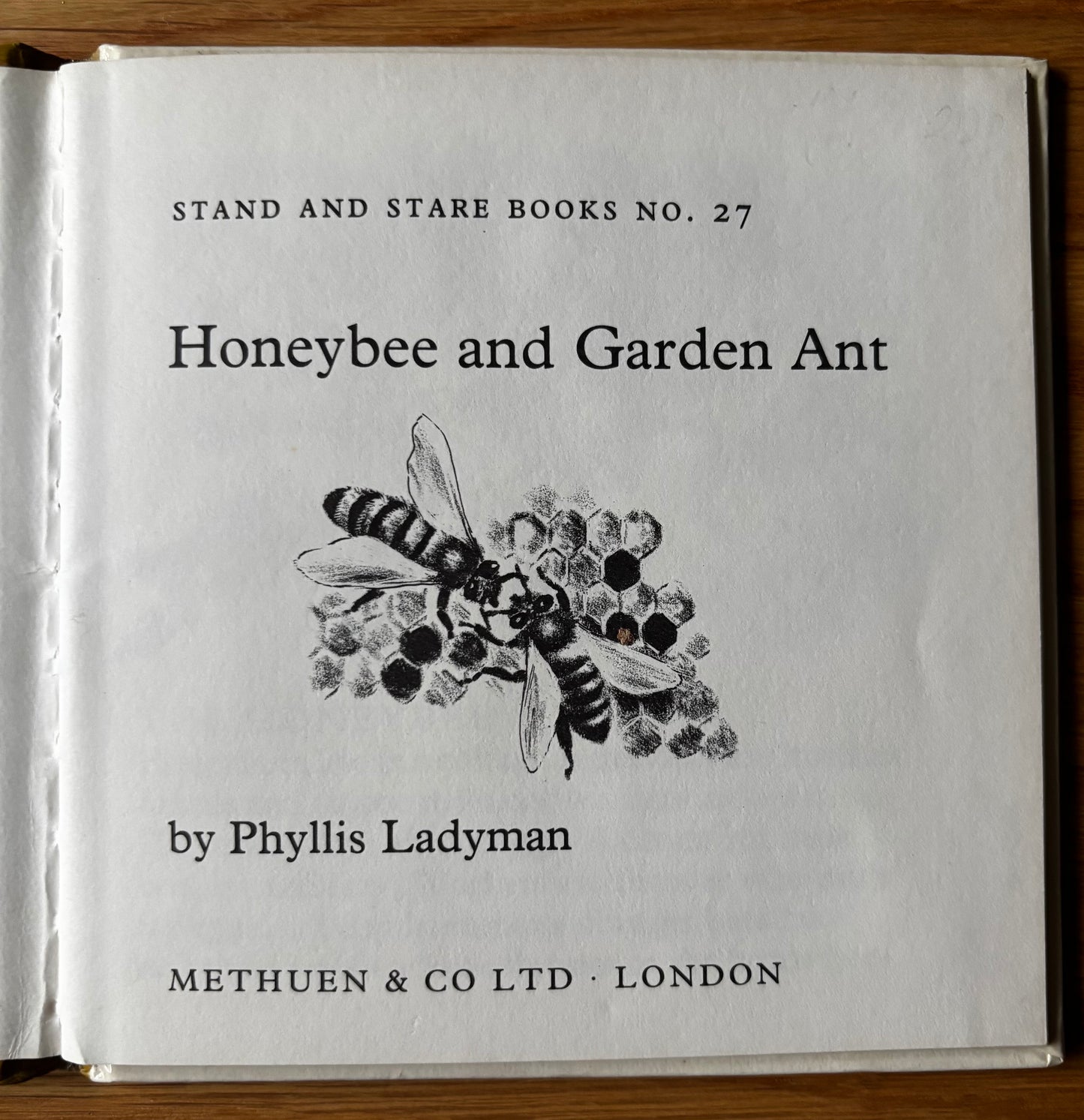Phyllis Ladyman HONEYBEE AND GARDEN ANT Stand & Stare Book 27 BEES 1971 Illus