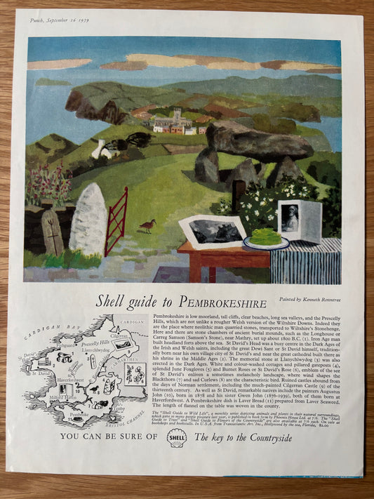 1950's Kenneth Rowntree SHELL GUIDE TO PEMBROKESHIRE 1959 ADVERT