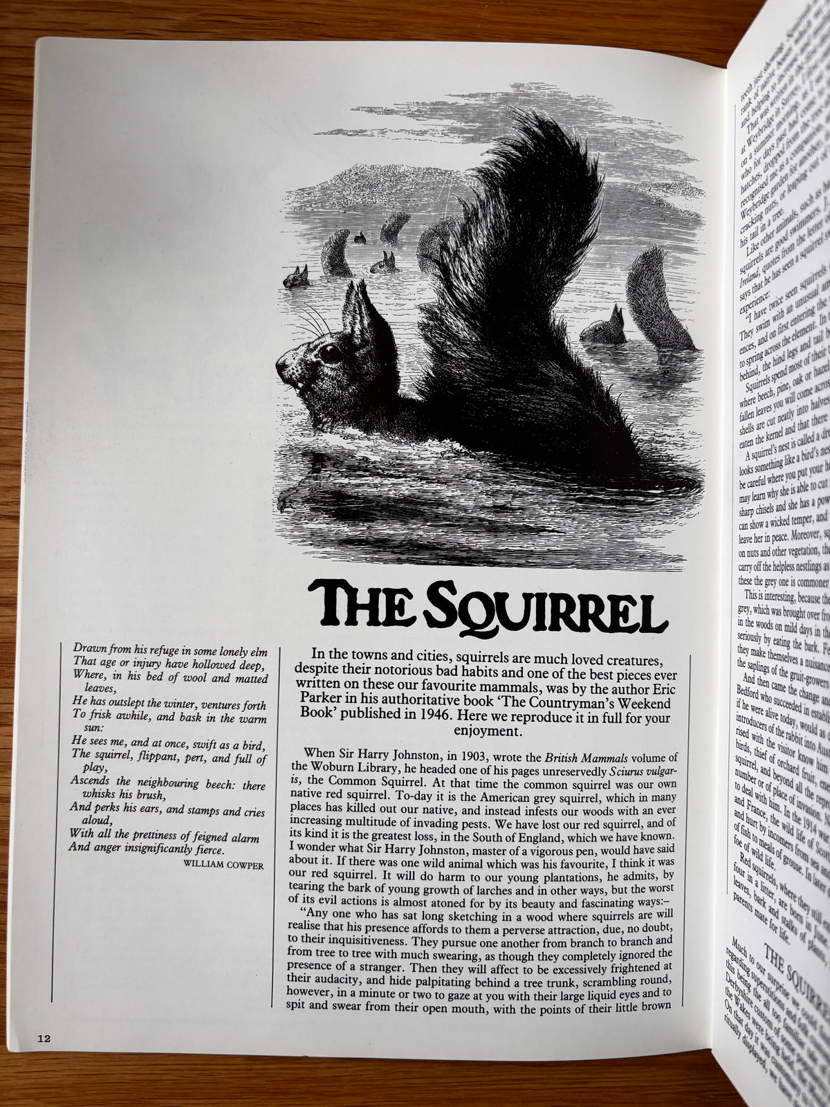 Peter Reddick THE COUNTRY BAZAAR Magazine Autumn 1986 CRAFTS ARTIST