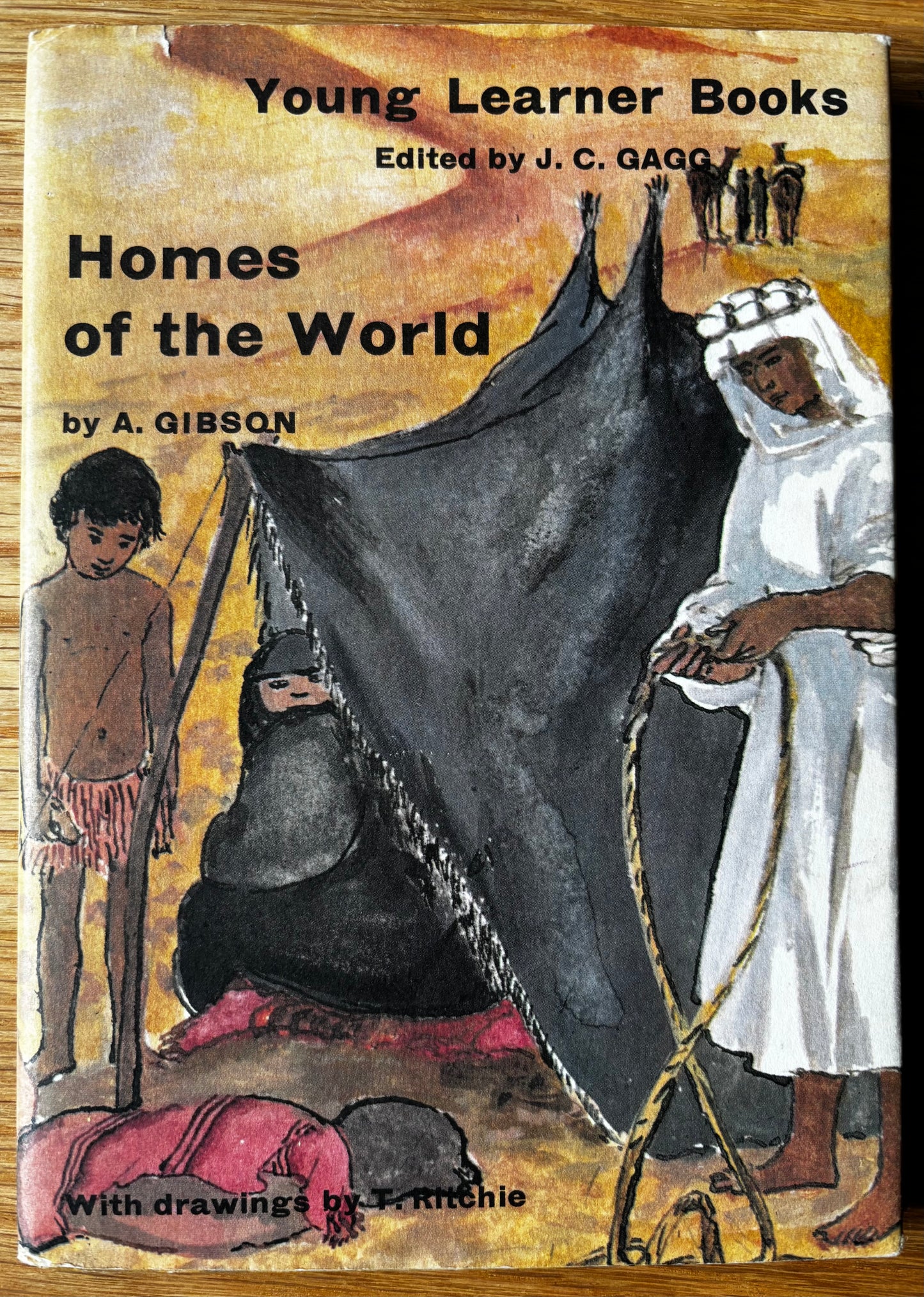 Trekkie Ritchie HOMES OF THE WORLD Chatto & Windus 1963 ILLUSTRATED Parsons