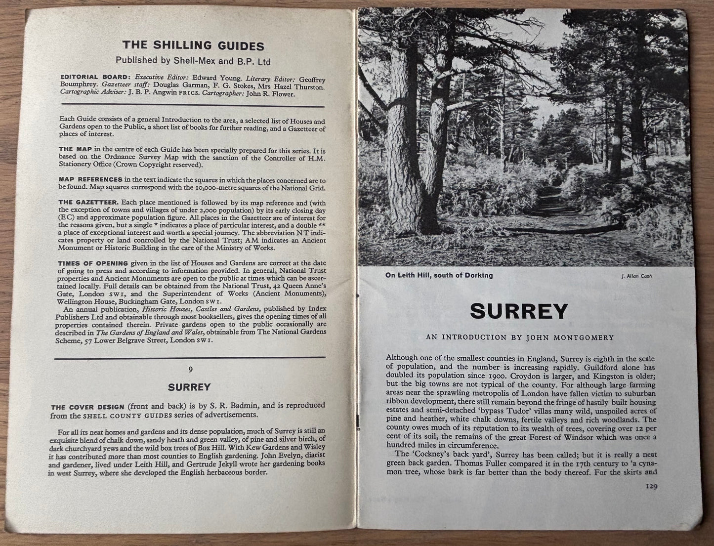 S R Badmin SURREY SHELL SHILLING GUIDE 1963 Illustrated