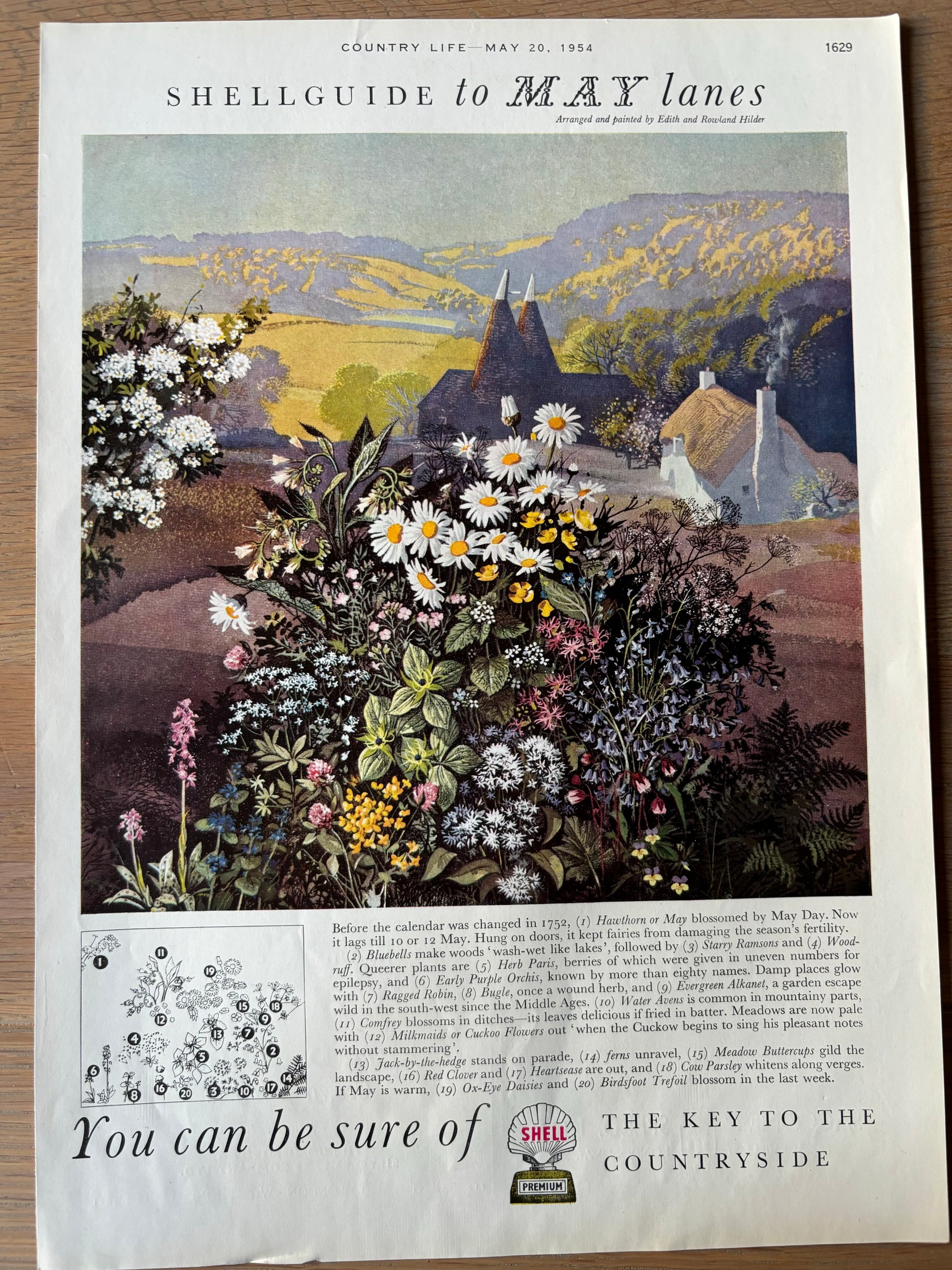 1950's Rowland Hilder SHELL GUIDE TO MAY LANES ADVERT Original Ad 1954 - transpontinebooks