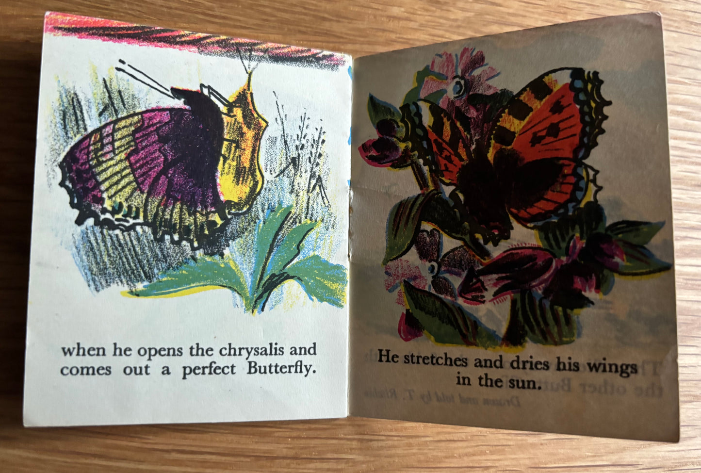 Midget Book THE BUTTERFLY Chatto & Windus 1930's TREKKIE RITCHIE Miniature
