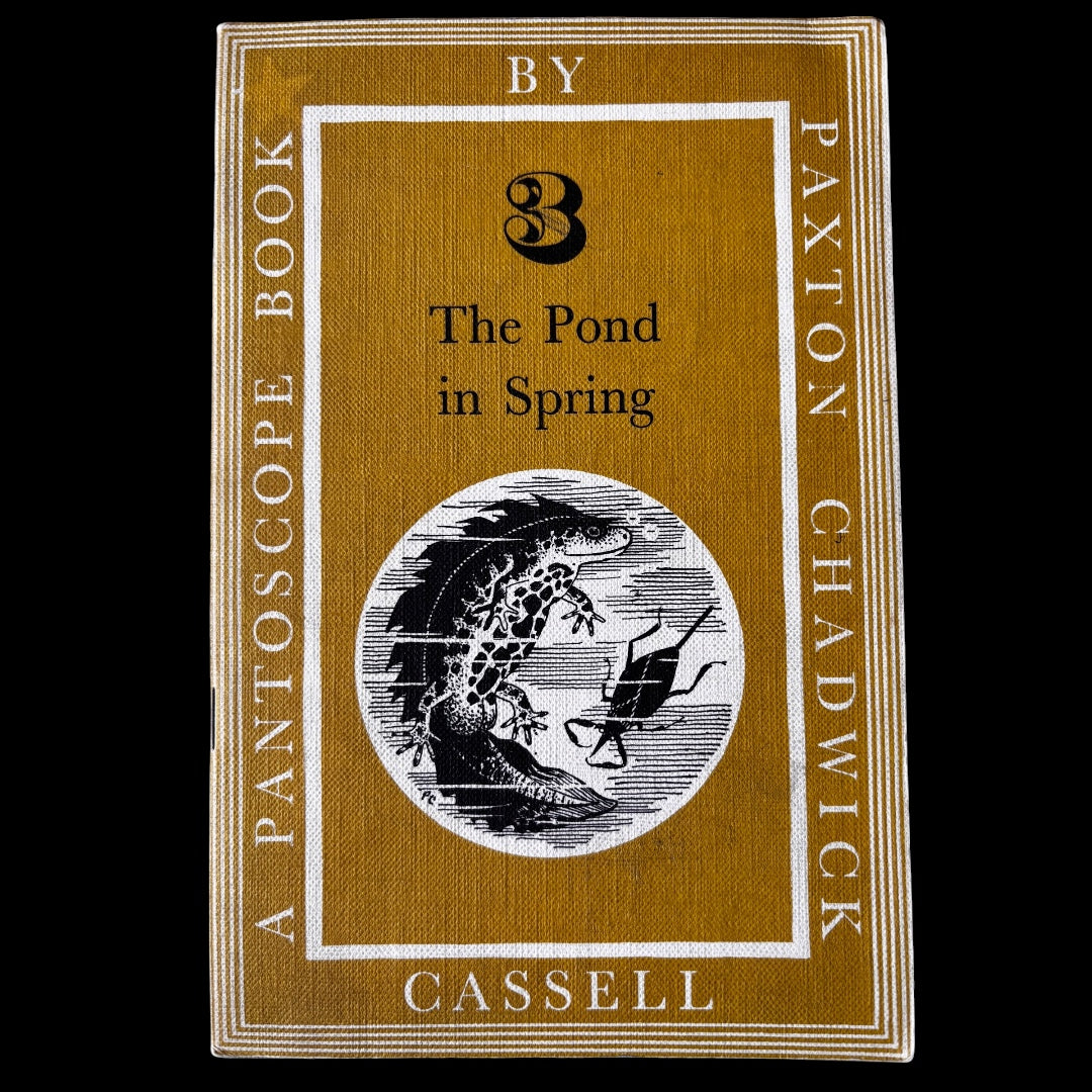 PANTOSCOPE BOOK The Pond In Spring PAXTON CHADWICK 1st Ed 1960 Cassell