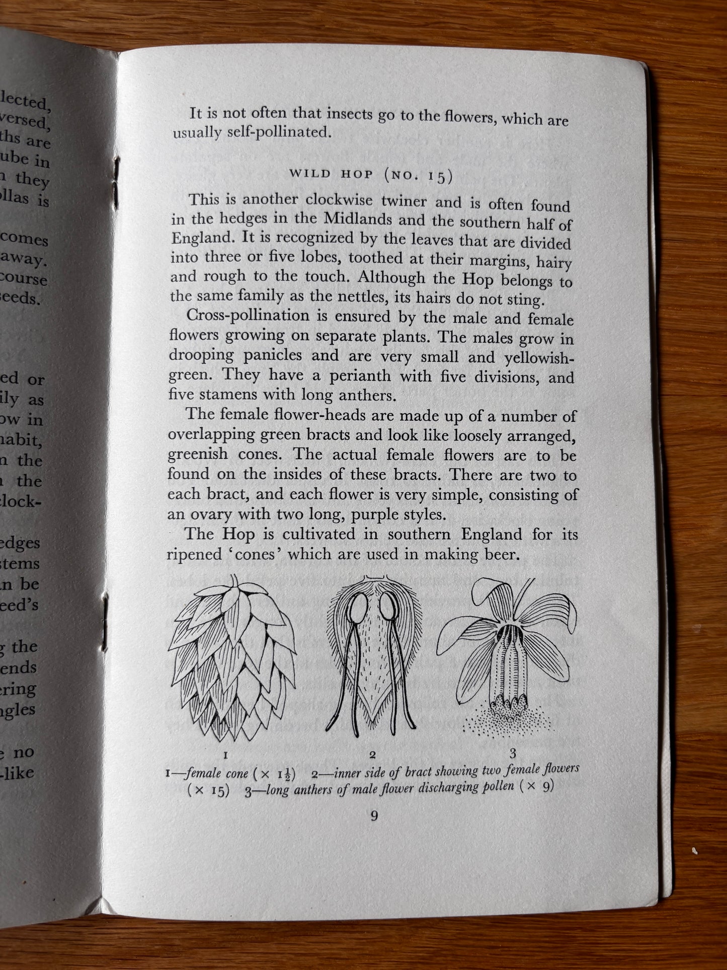 PANTOSCOPE BOOK Climbing Plants PAXTON CHADWICK 1st Ed 1961 Flowers Cassell