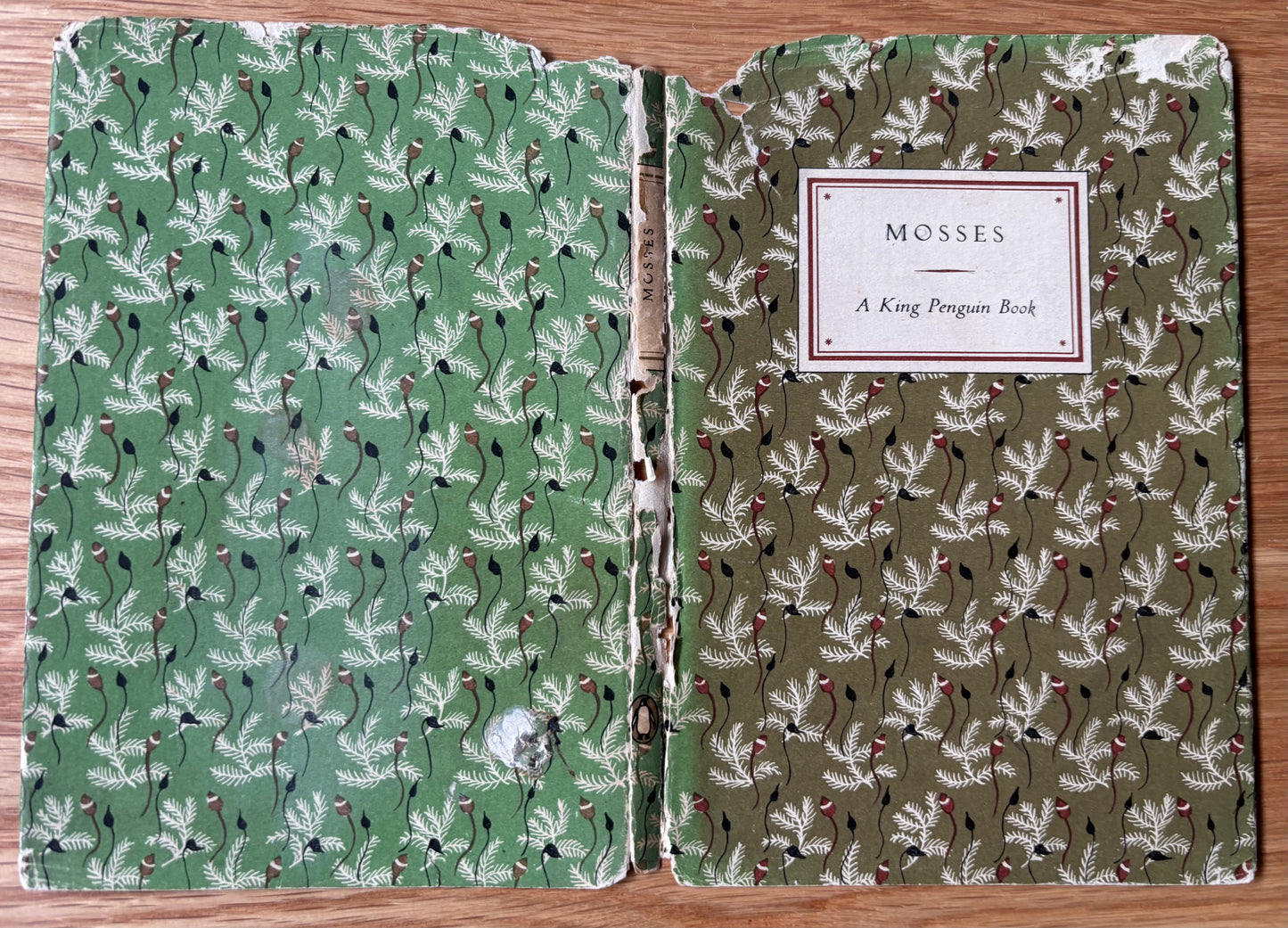 Paxton Chadwick MOSSES King Penguin Book Paul Richards 1950 DJ ILLUSTRATED