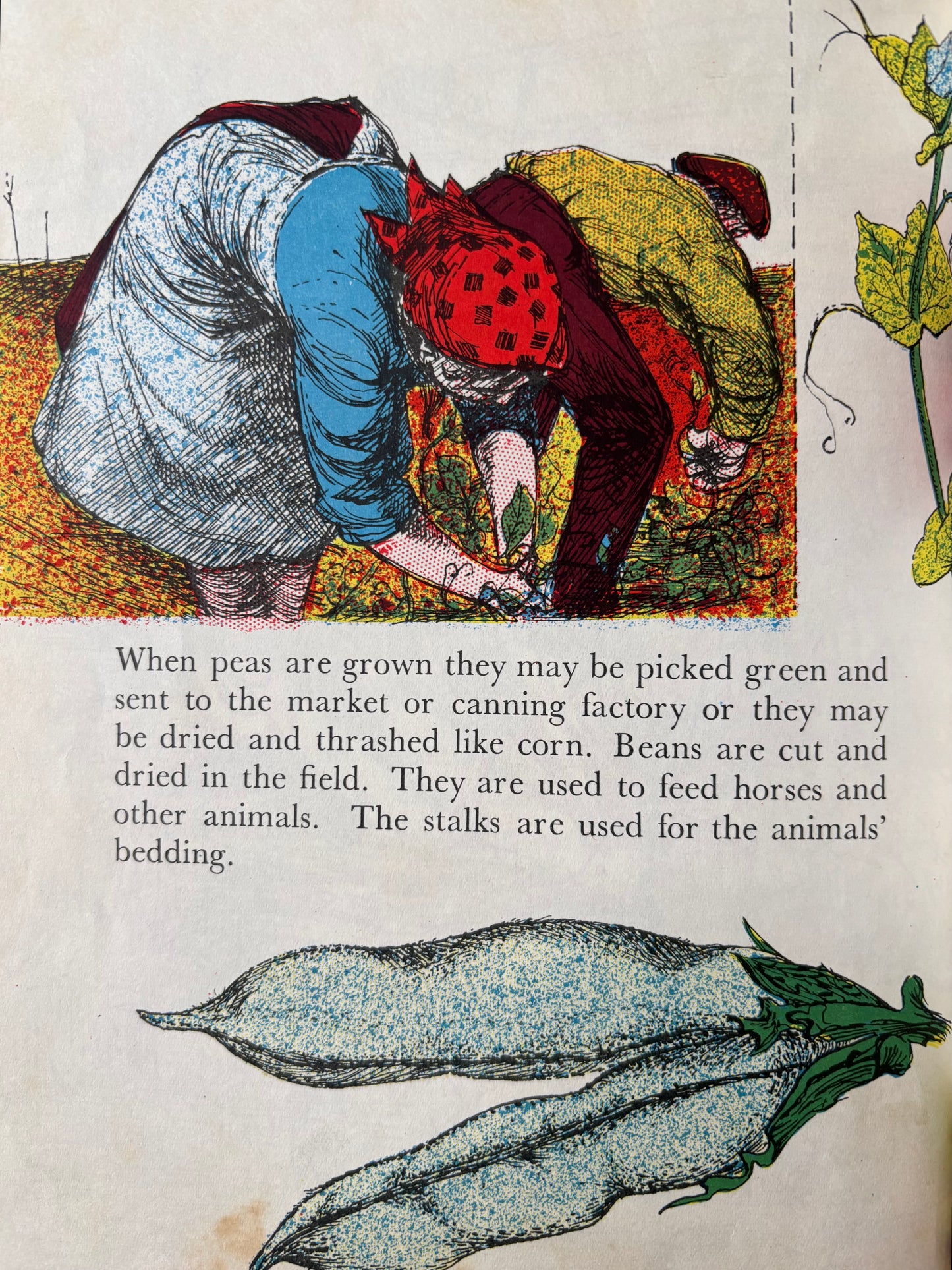 Barbara Lambourne HOME FARM AT WORK Chatto & Windus FARMING ART 1957 Schools Book