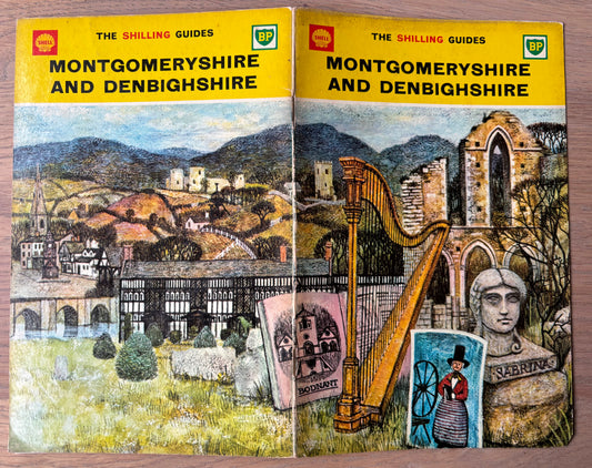 Thomas Swimmer MONTGOMERYSHIRE SHELL SHILLING GUIDE 1964 Illustrated Denbighshire