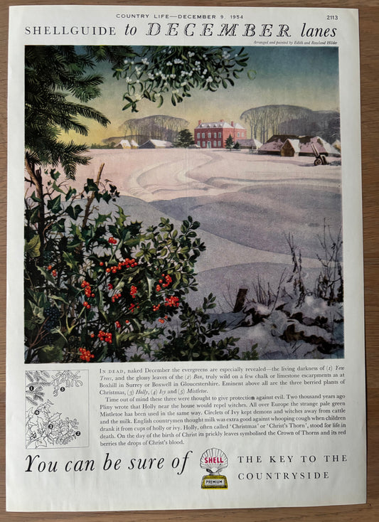 1950's Rowland Hilder SHELL GUIDE TO DECEMBER LANES ADVERT Original Ad 1954