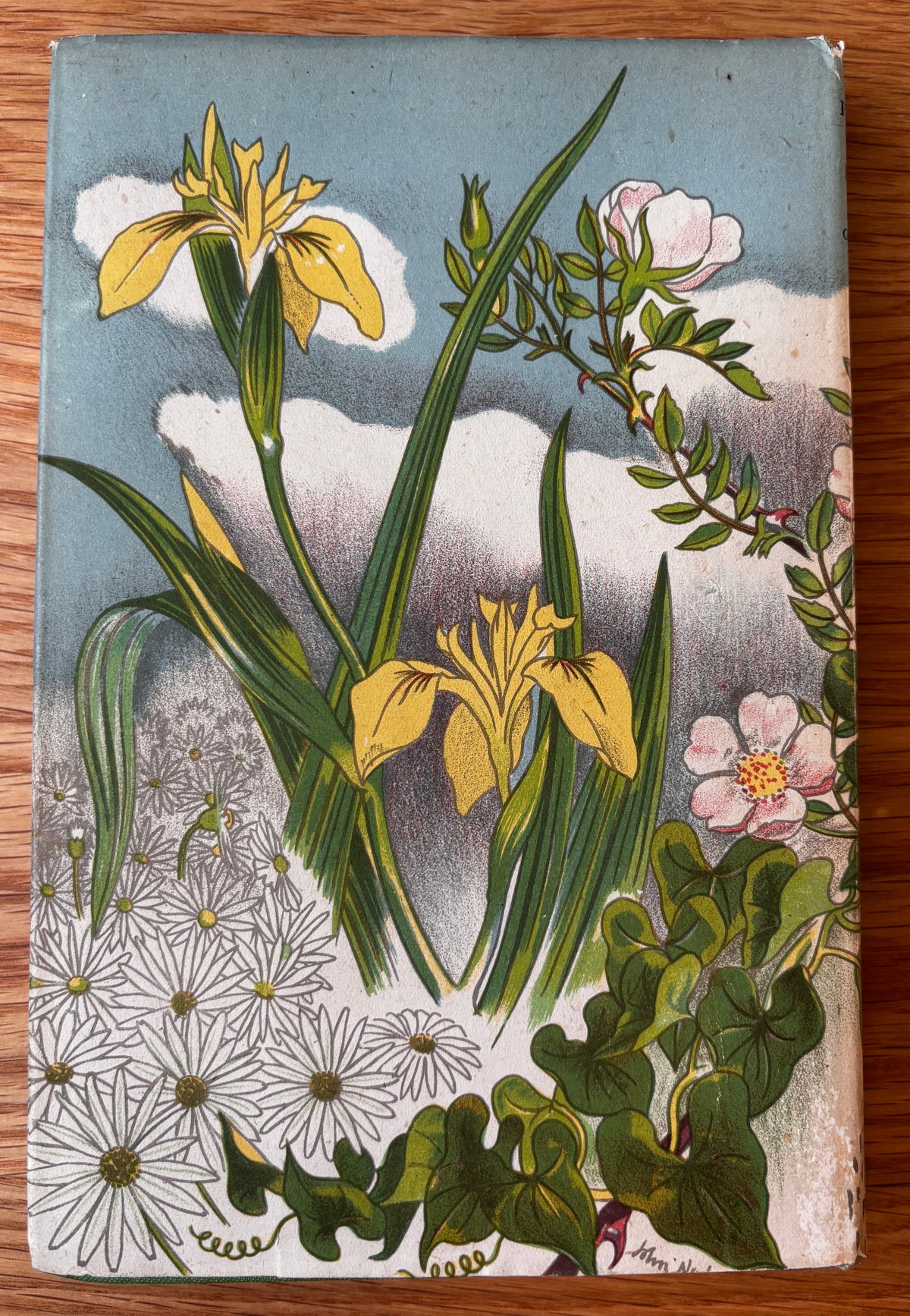 John Nash WILD FLOWERS IN BRITAIN 1943 HB DJ Robert Gathorne-Hardy ILLUSTRATED
