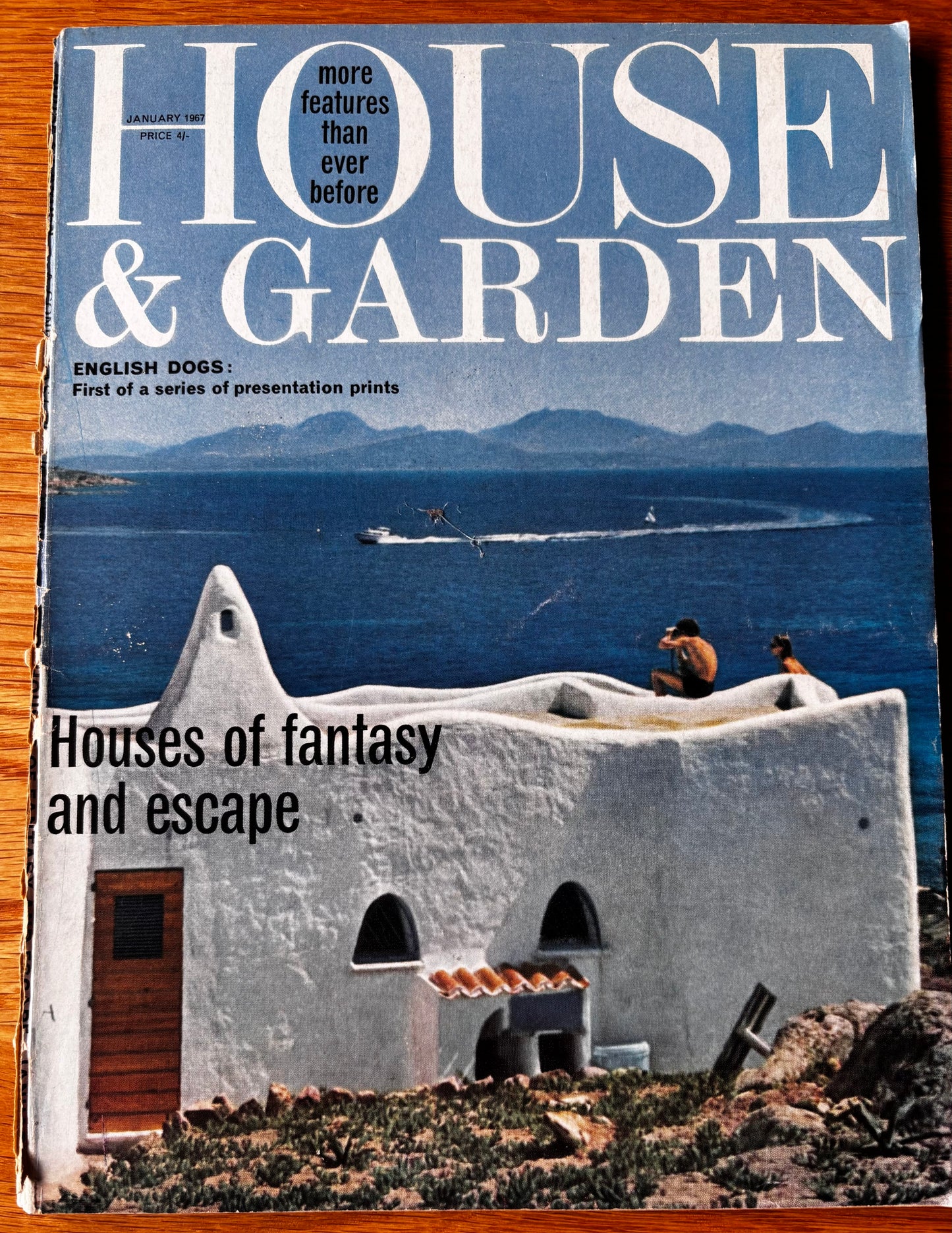 David Gentleman Print HOUSE AND GARDEN Magazine January 1967 Dalmatian Dog