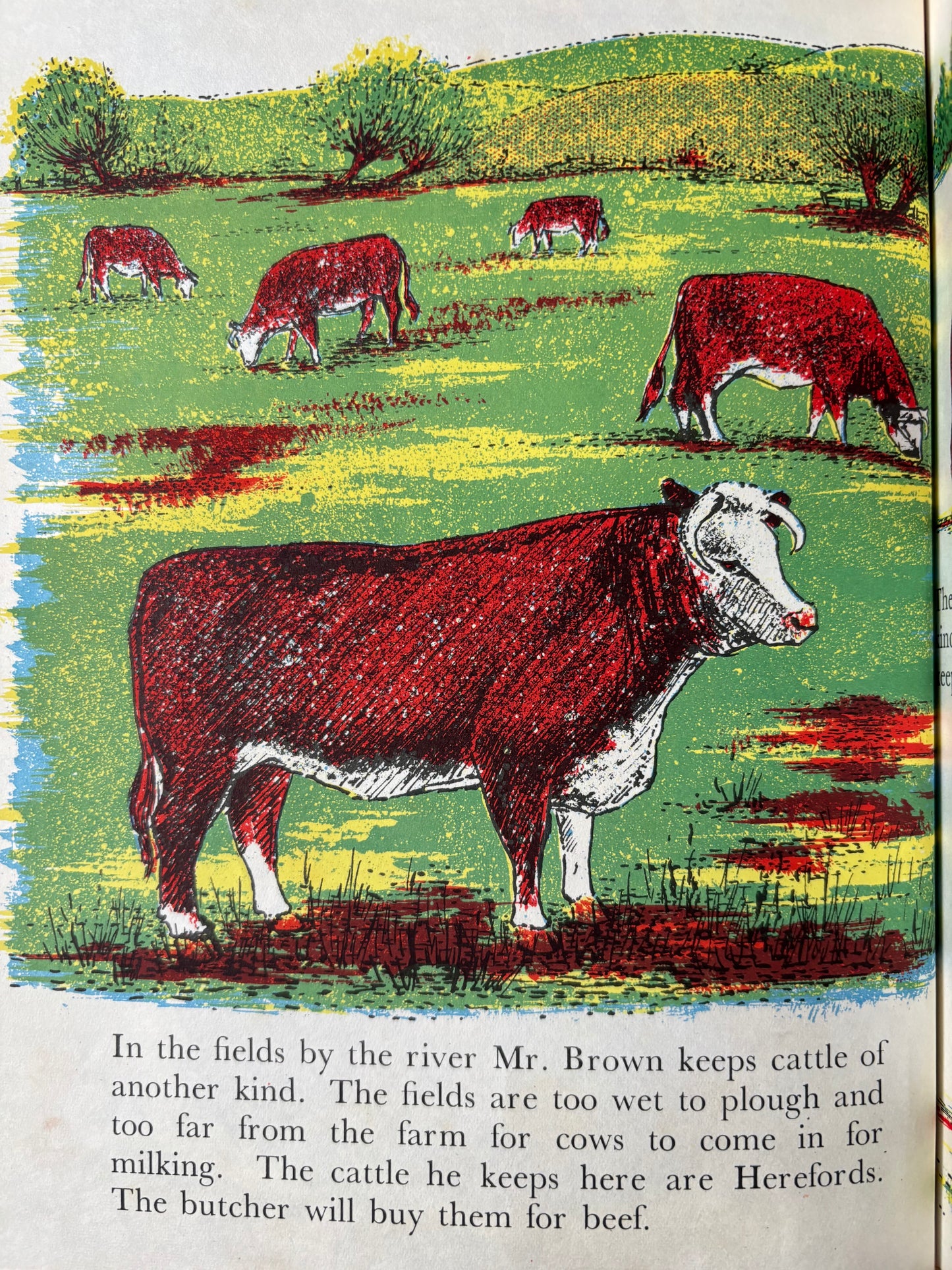 Barbara Lambourne HOME FARM AT WORK Chatto & Windus FARMING ART 1957 Schools Book