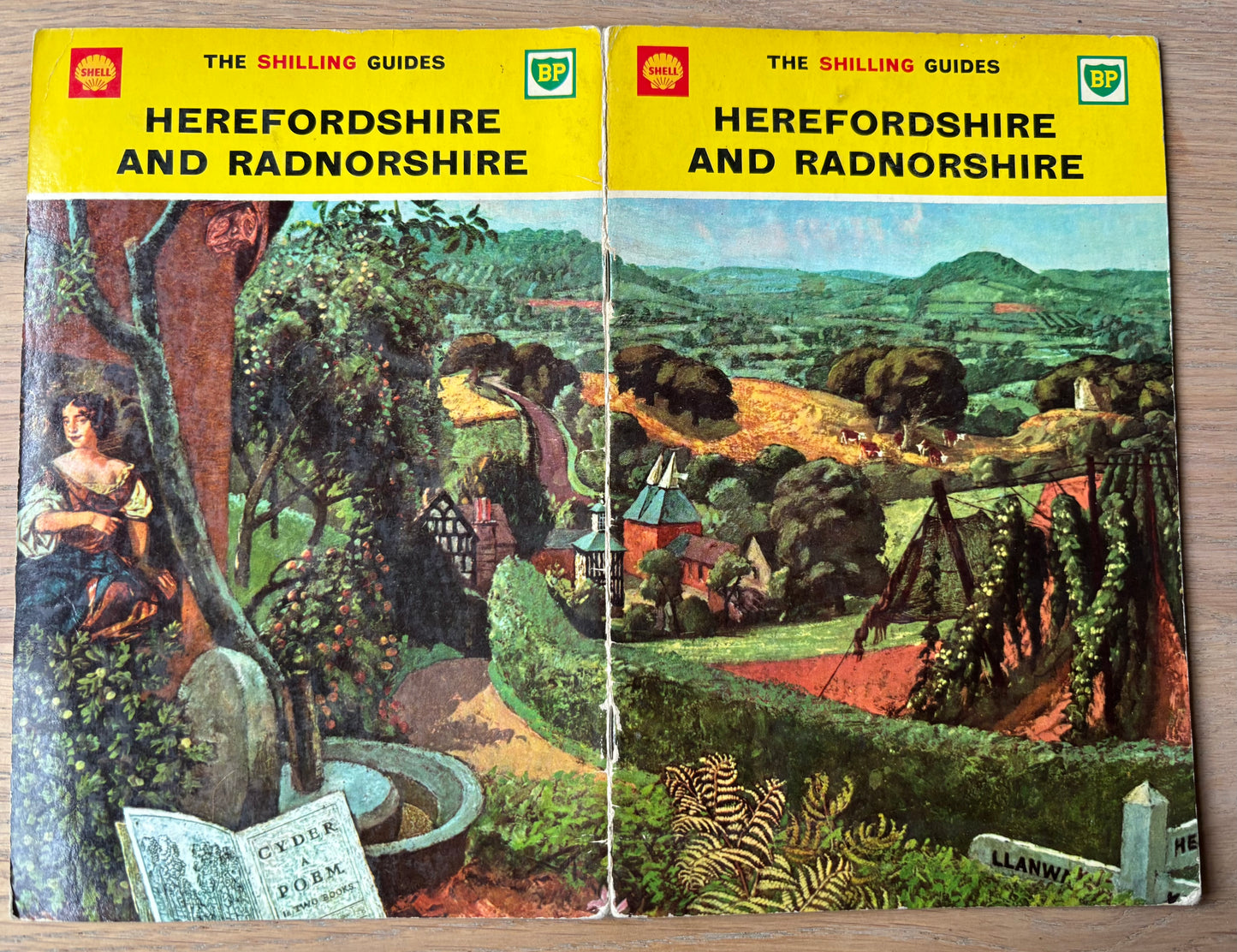 John Aldridge HEREFORDSHIRE SHELL SHILLING GUIDE 1963 Illustrated Gt Bardfield