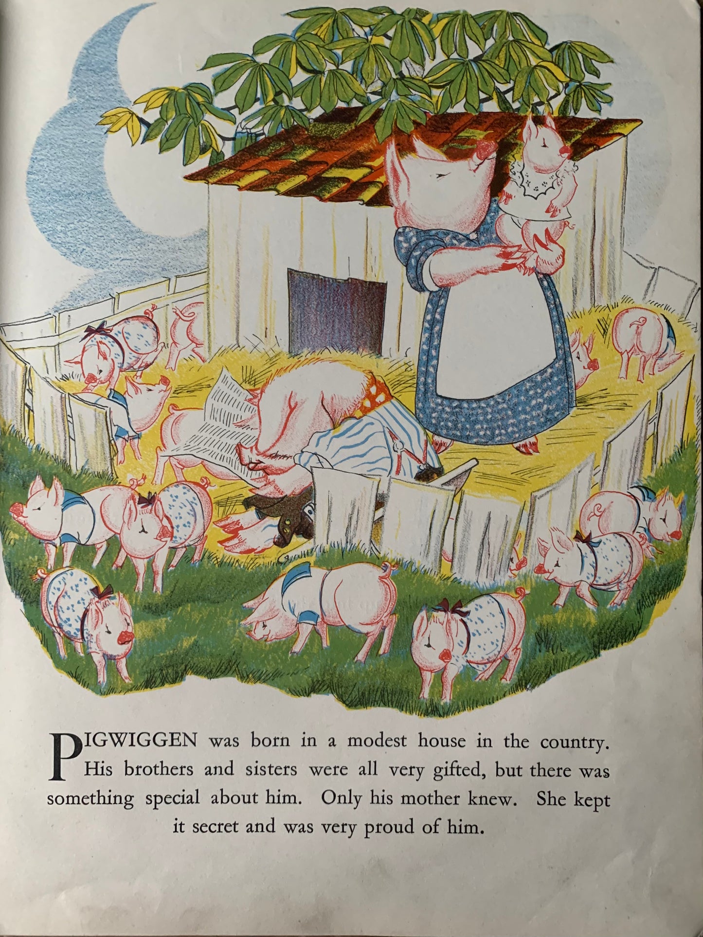 Arnrid Johnston PIGWIGGEN HIS DASHING CAREER 1938 1st Ed Country LIfe PIG STORY - transpontinebooks