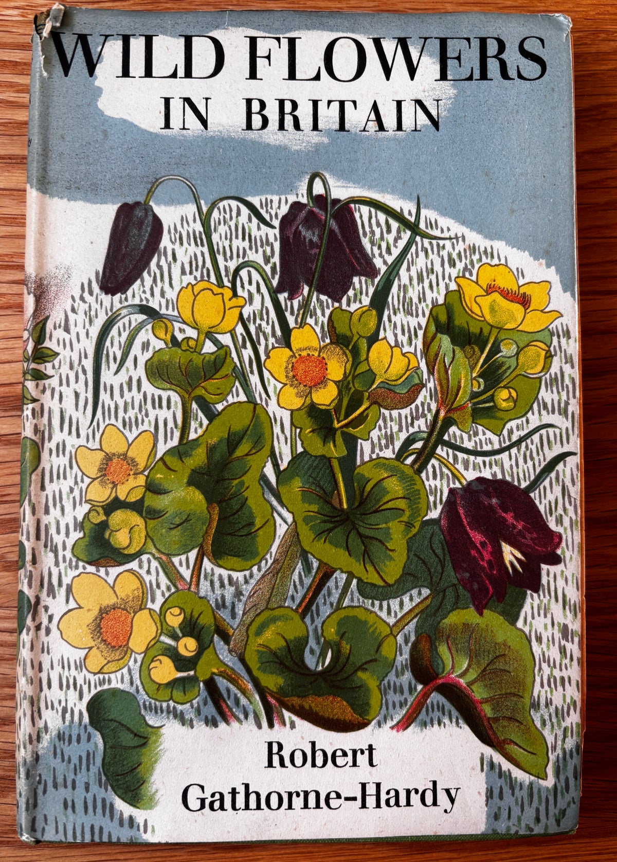 John Nash WILD FLOWERS IN BRITAIN 1943 HB DJ Robert Gathorne-Hardy ILLUSTRATED