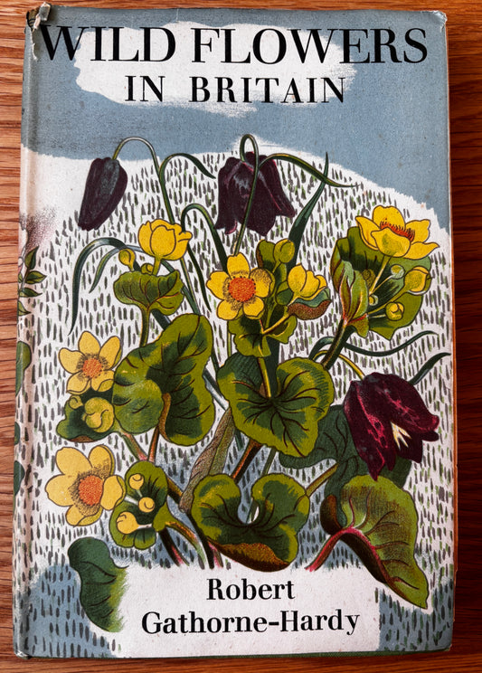 John Nash WILD FLOWERS IN BRITAIN 1943 HB DJ Robert Gathorne-Hardy ILLUSTRATED