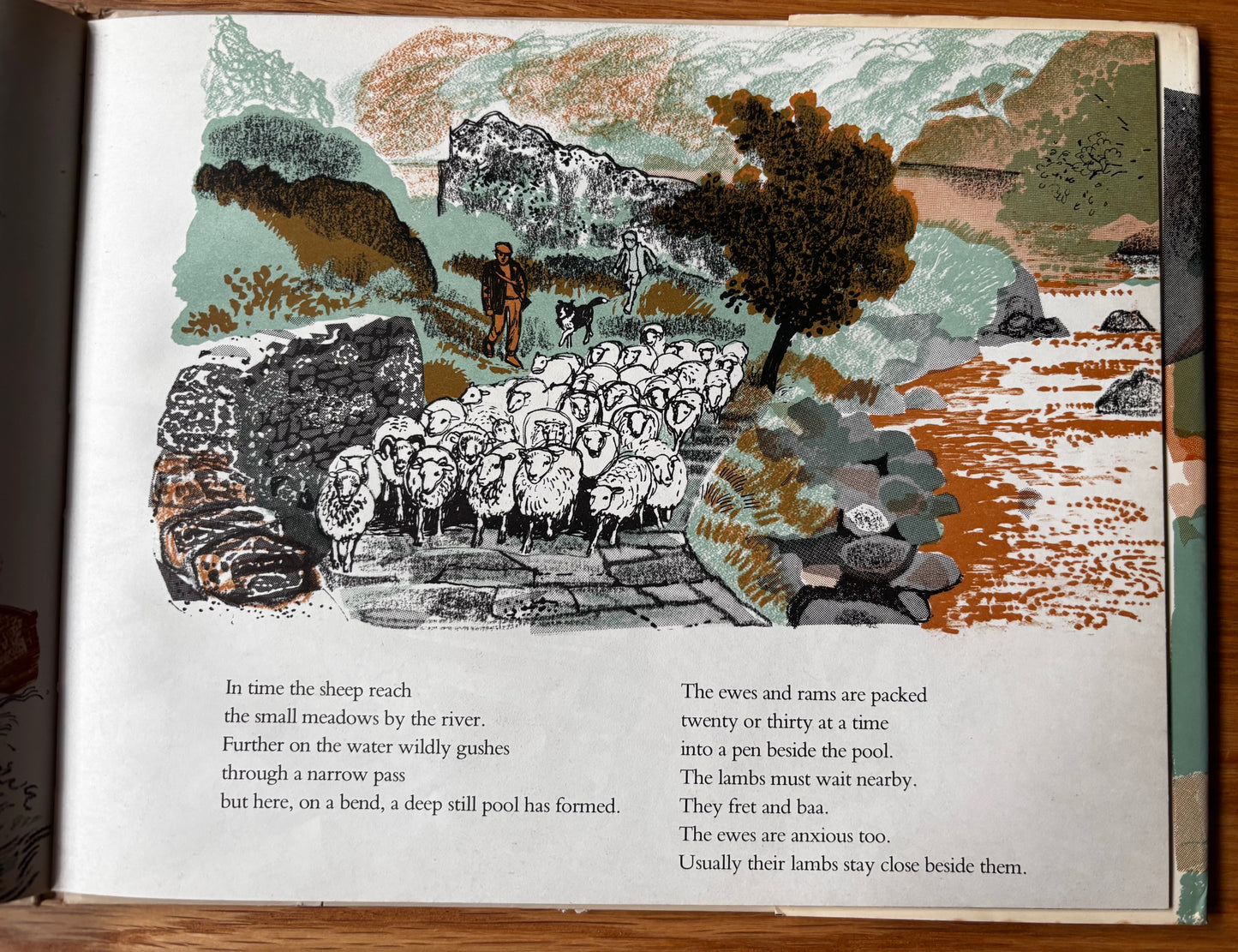 Juliette Palmer MOUNTAIN WOOL DJ 1st 1974 MacMillan SHEEP FARMING COUNTRY LIFE
