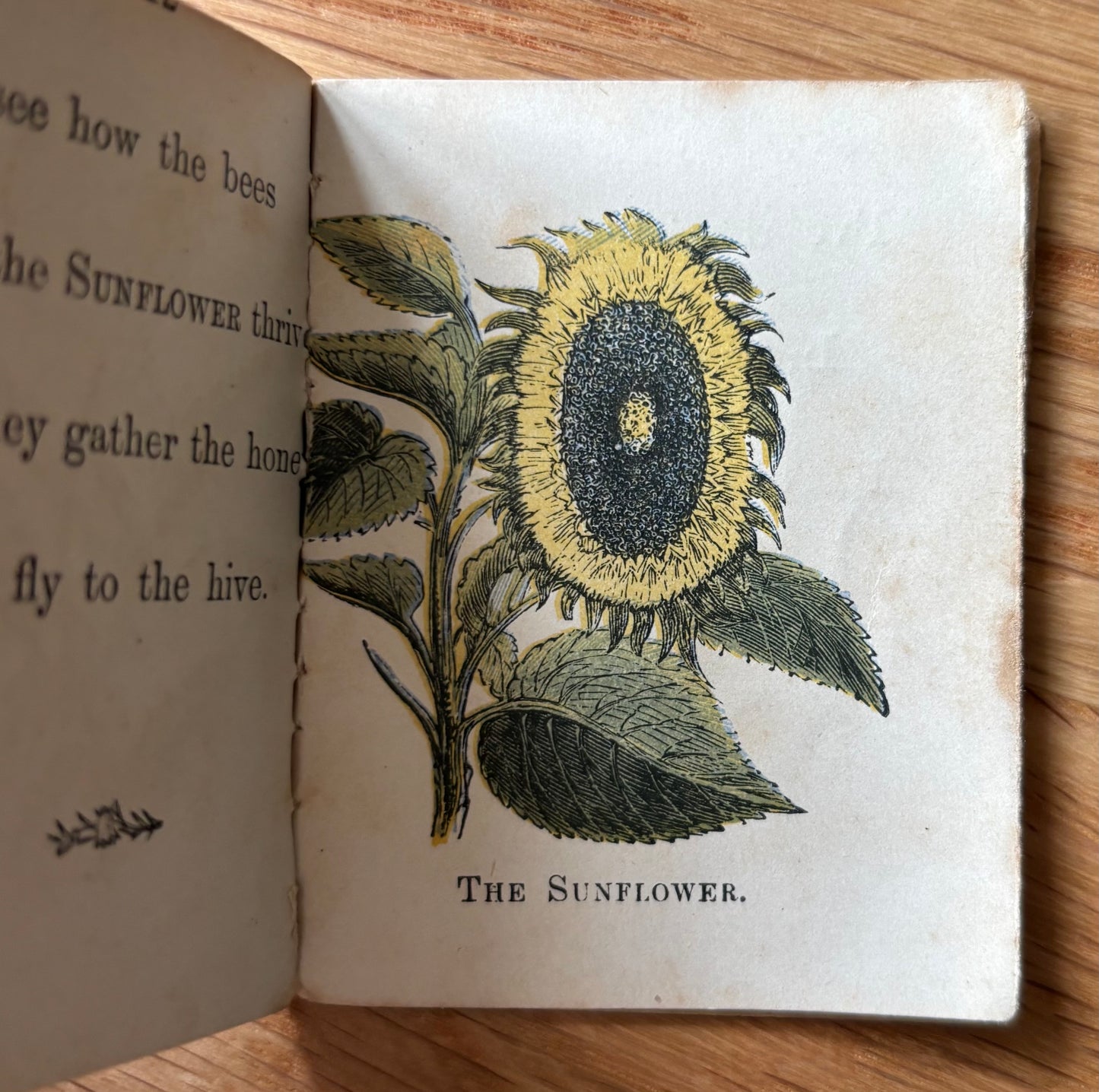 MINIATURE VICTORIAN Nursery Library Flowers BOOK George Routledge