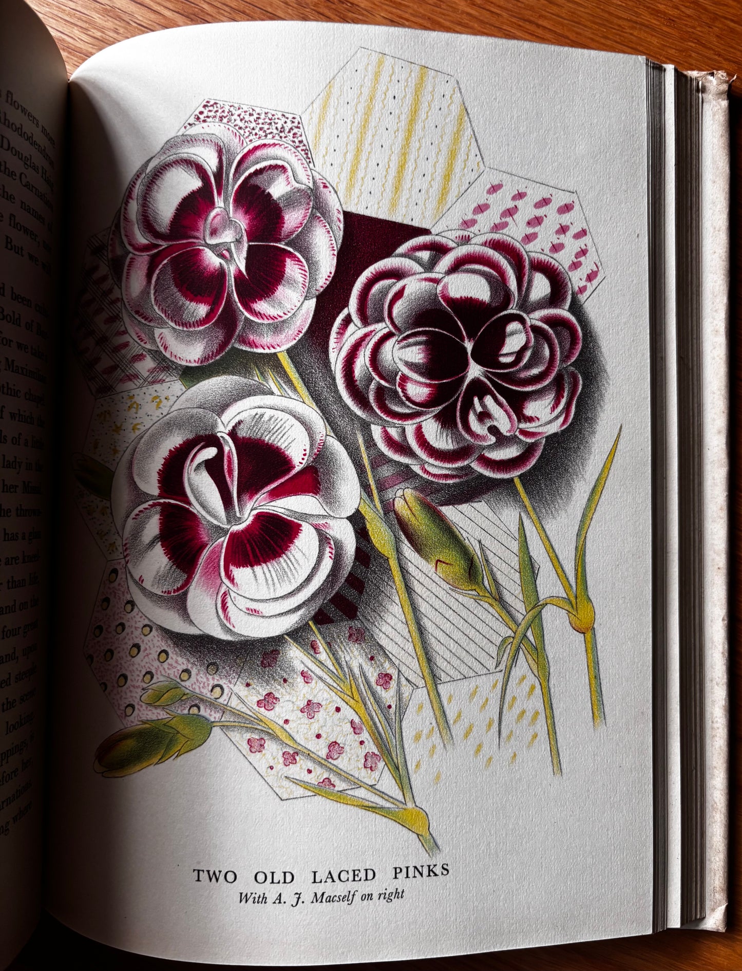 OLD FASHIONED FLOWERS 1948 DJ Sacheverell SItwell John Farleigh Illustrated