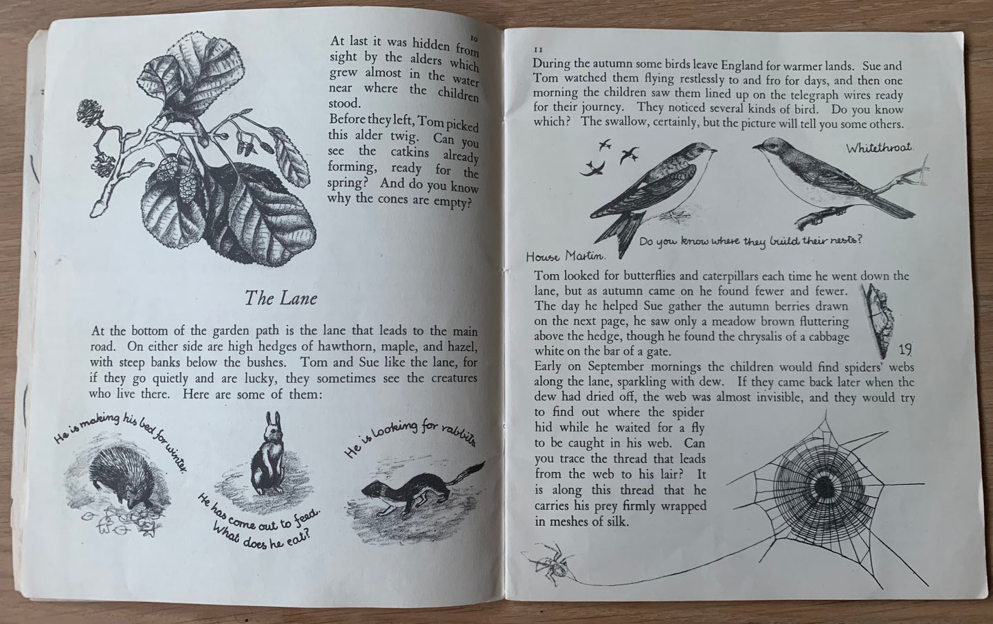 Elsie Few OUT OF DOORS Chatto & Windus NATURE STUDY Aug - Dec School Book - transpontinebooks