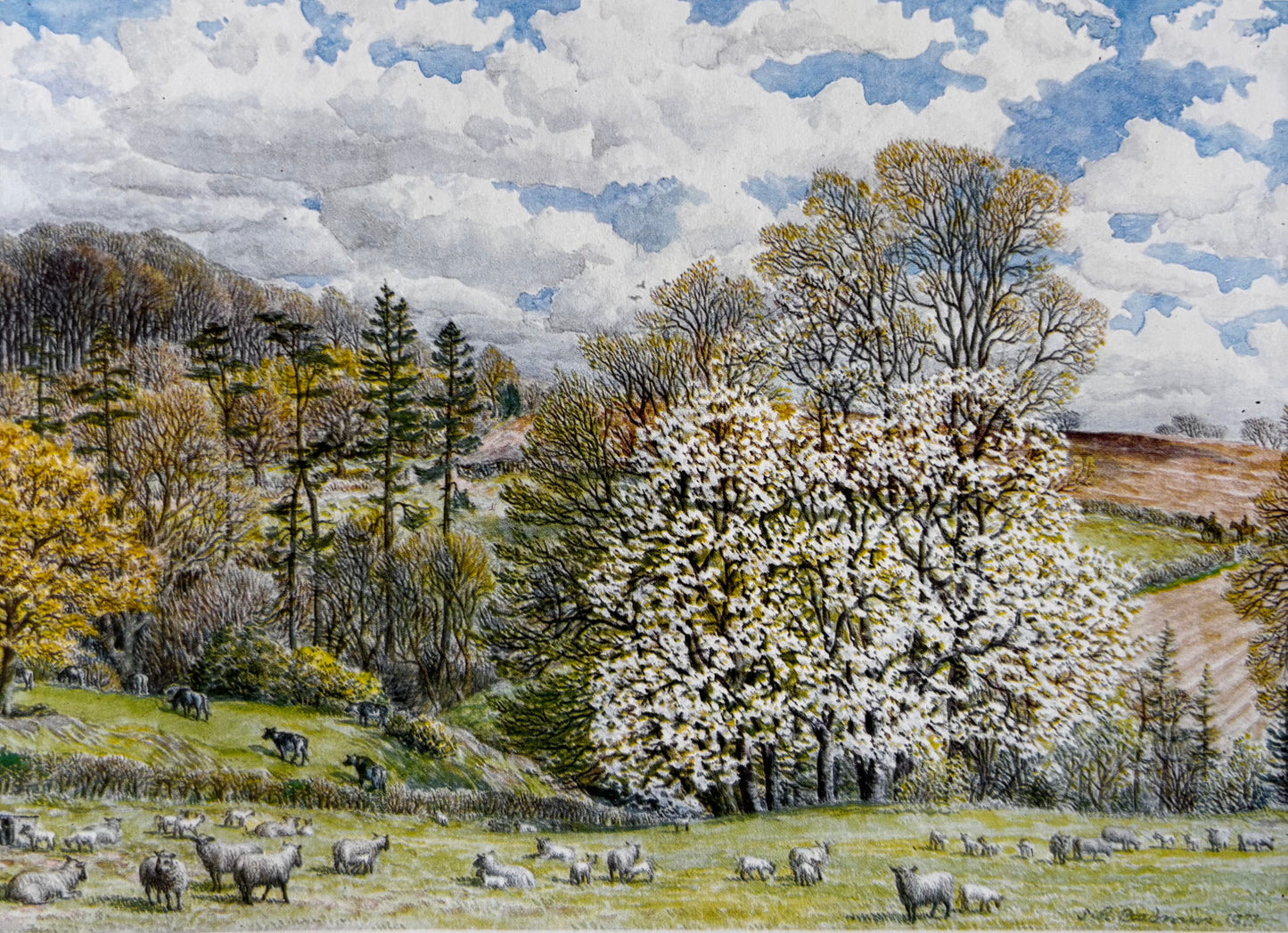 S R Badmin Signed THE ENGLISH LANDSCAPE 1985 ART Chris Beetles ILLUSTRATIONS