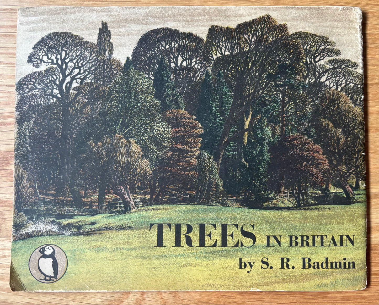 S R Badmin TREES IN BRITAIN  Puffin Picture Book No 31 1st  Ed  ILLUSTRATED