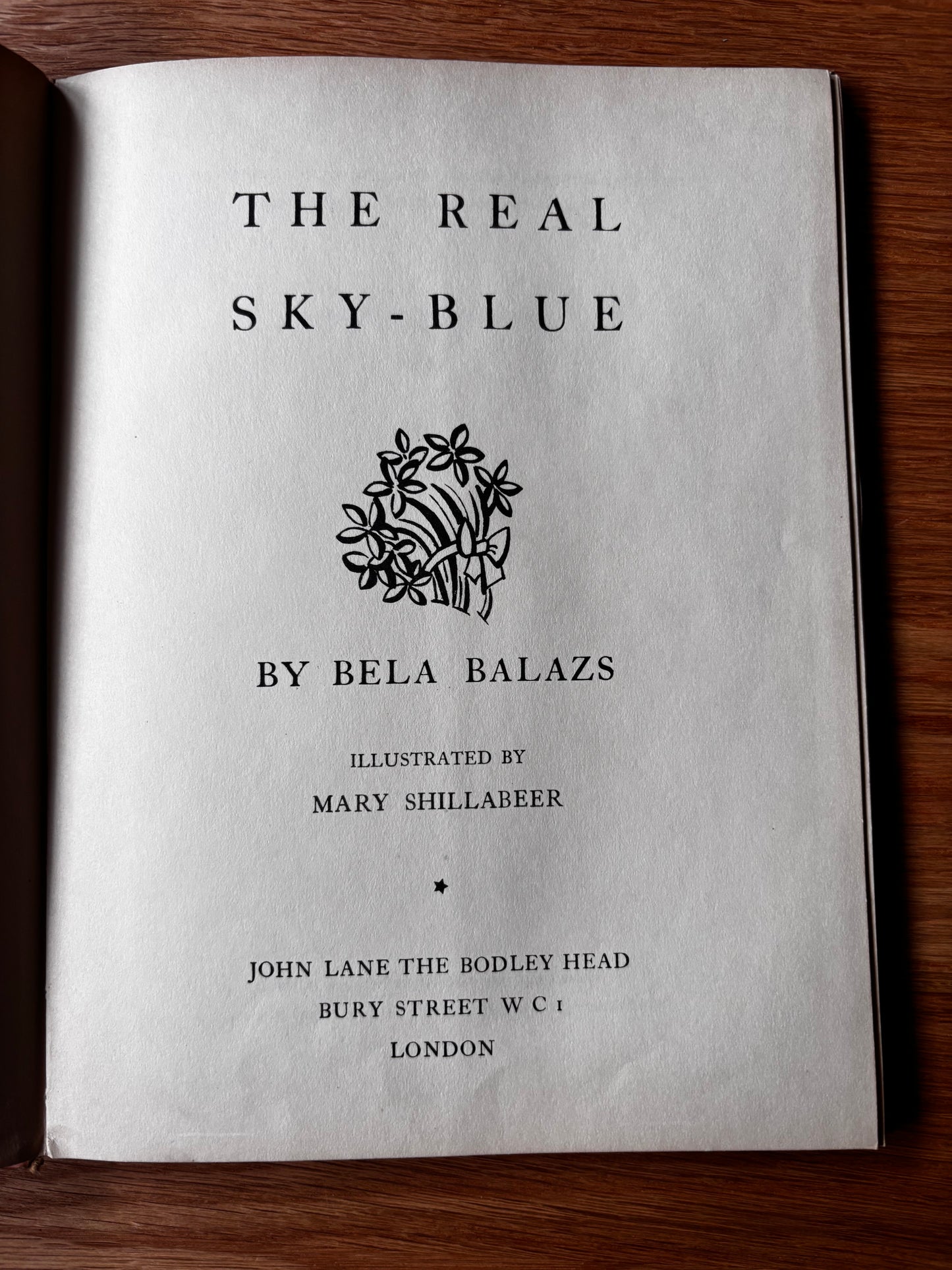 Mary Shillabeer THE REAL SKY BLUE Bela Balazs 1936 HB 1st Ed CAT STORY