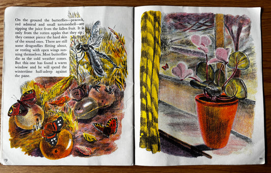 Trekkie Ritchie Parsons COME AND SEE IN AUTUMN Chatto & Windus NATURE BOOK Open Your Eyes