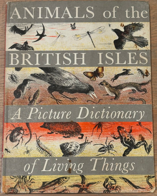 Paxton Chadwick ANIMALS OF THE BRITISH ISLES Picture Dictionary Cassell 1954 HB - transpontinebooks