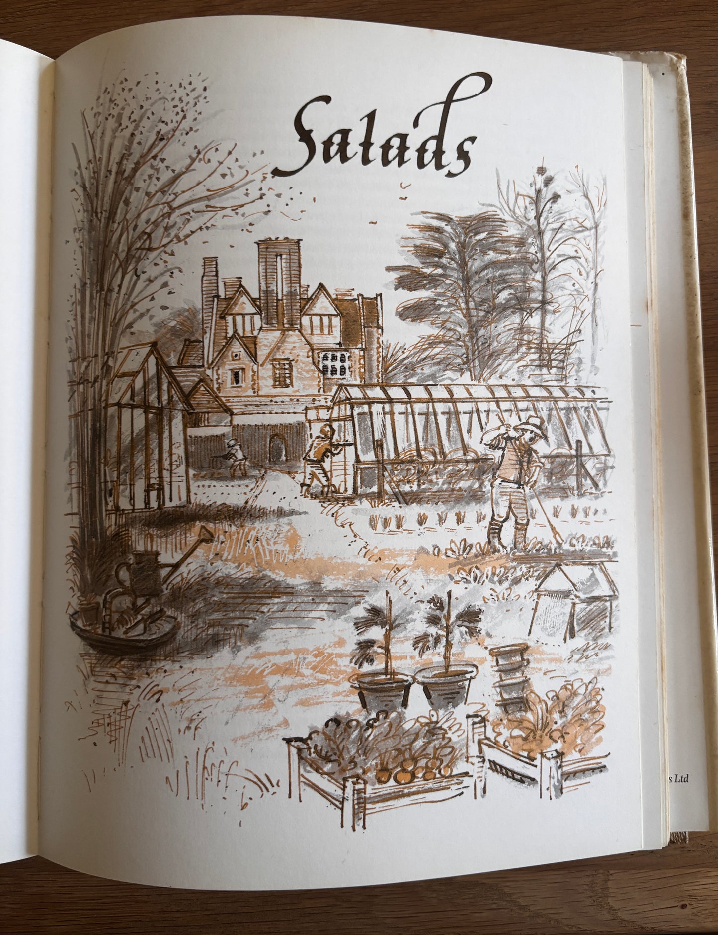 John Lawrence THE CRANKS RECIPE BOOK David Canter 1982 DJ Whole food Cookbook
