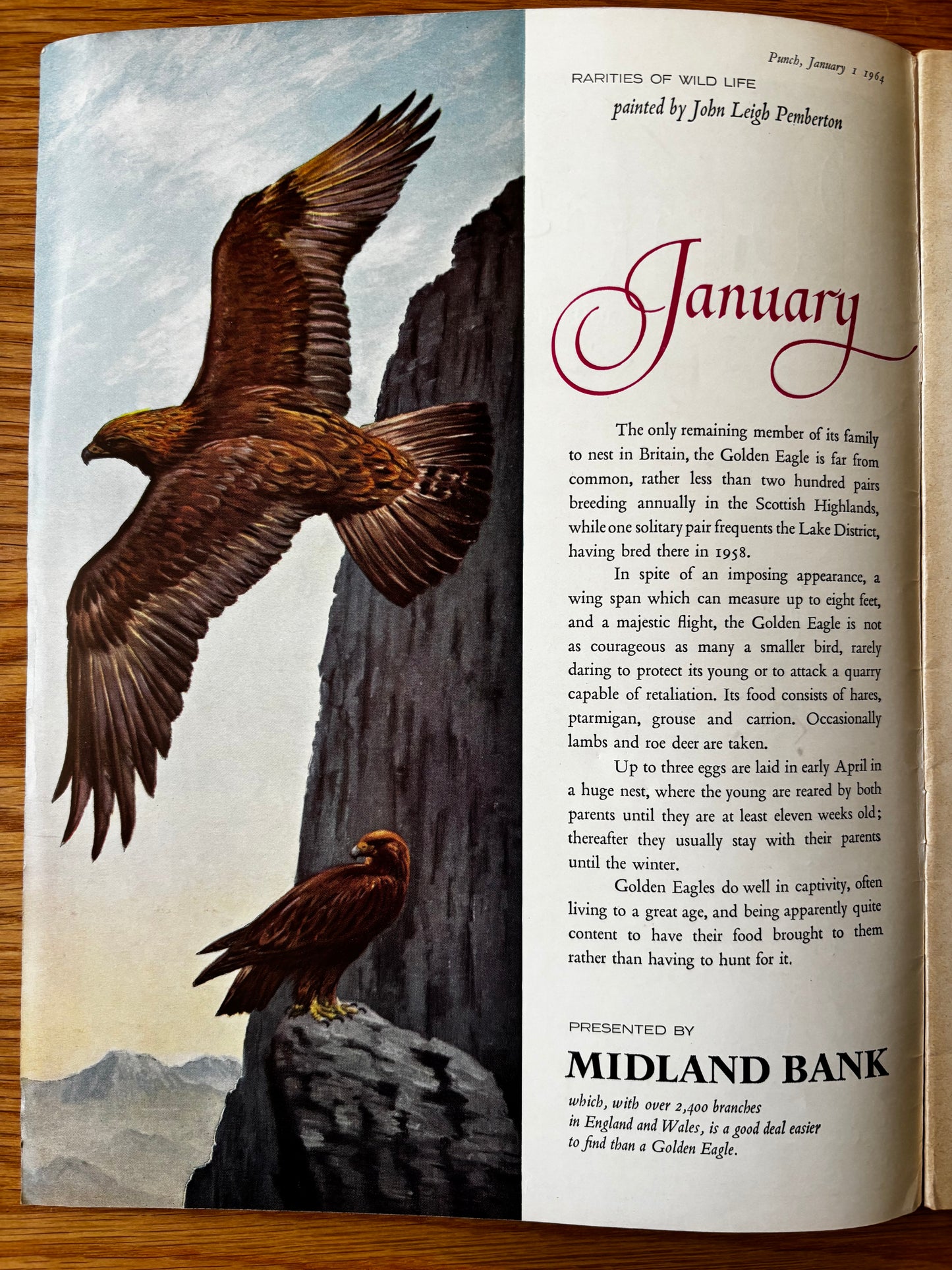 Scully PUNCH MAGAZINE January 1 1964 DRIVING IN SNOW