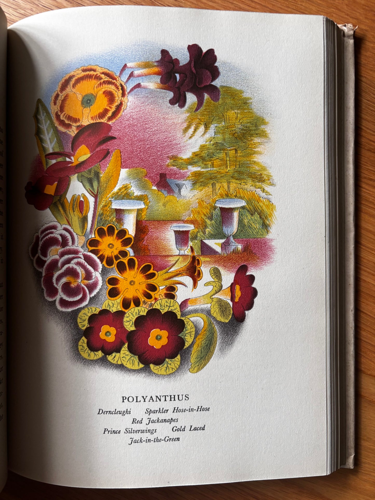 OLD FASHIONED FLOWERS 1948 DJ Sacheverell SItwell John Farleigh Illustrated