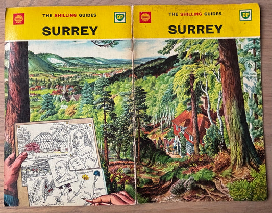 S R Badmin SURREY SHELL SHILLING GUIDE 1963 Illustrated