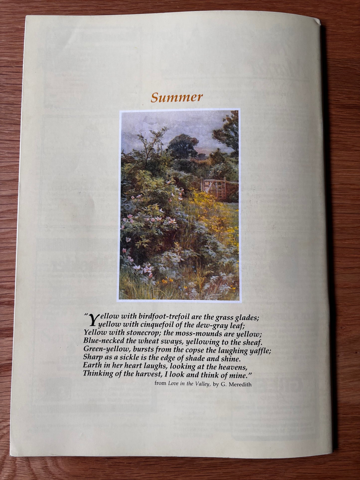 THE COUNTRY BAZAAR Magazine Summer 1987 BEES BEE KEEPING Eric Holt Andrew Haslen