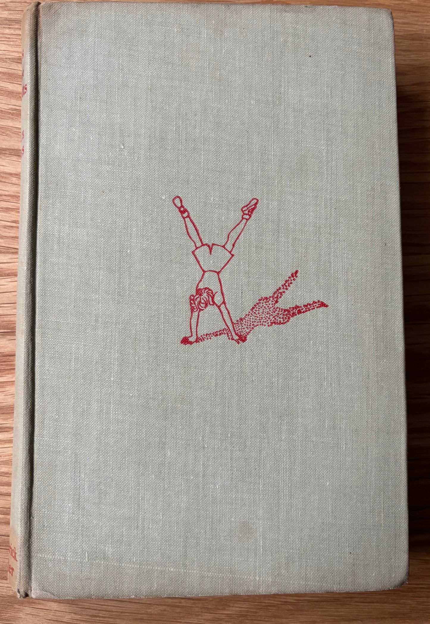 Mary Gardiner THE BLAKES AND THE BLACKETTS Grace James 1939 1st Ed DJ ILLUSTRATED